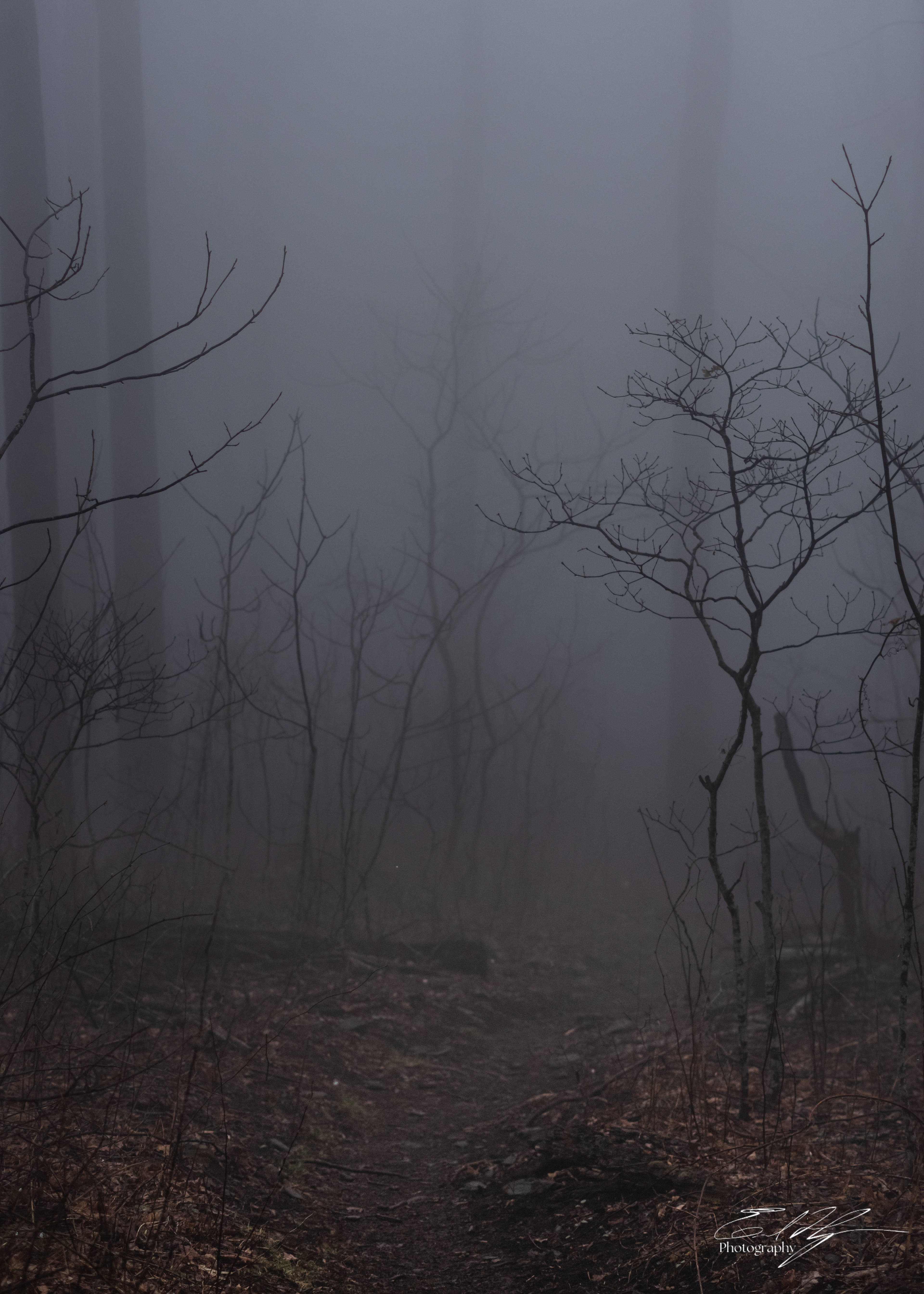 Appalachian Trail 2025   X