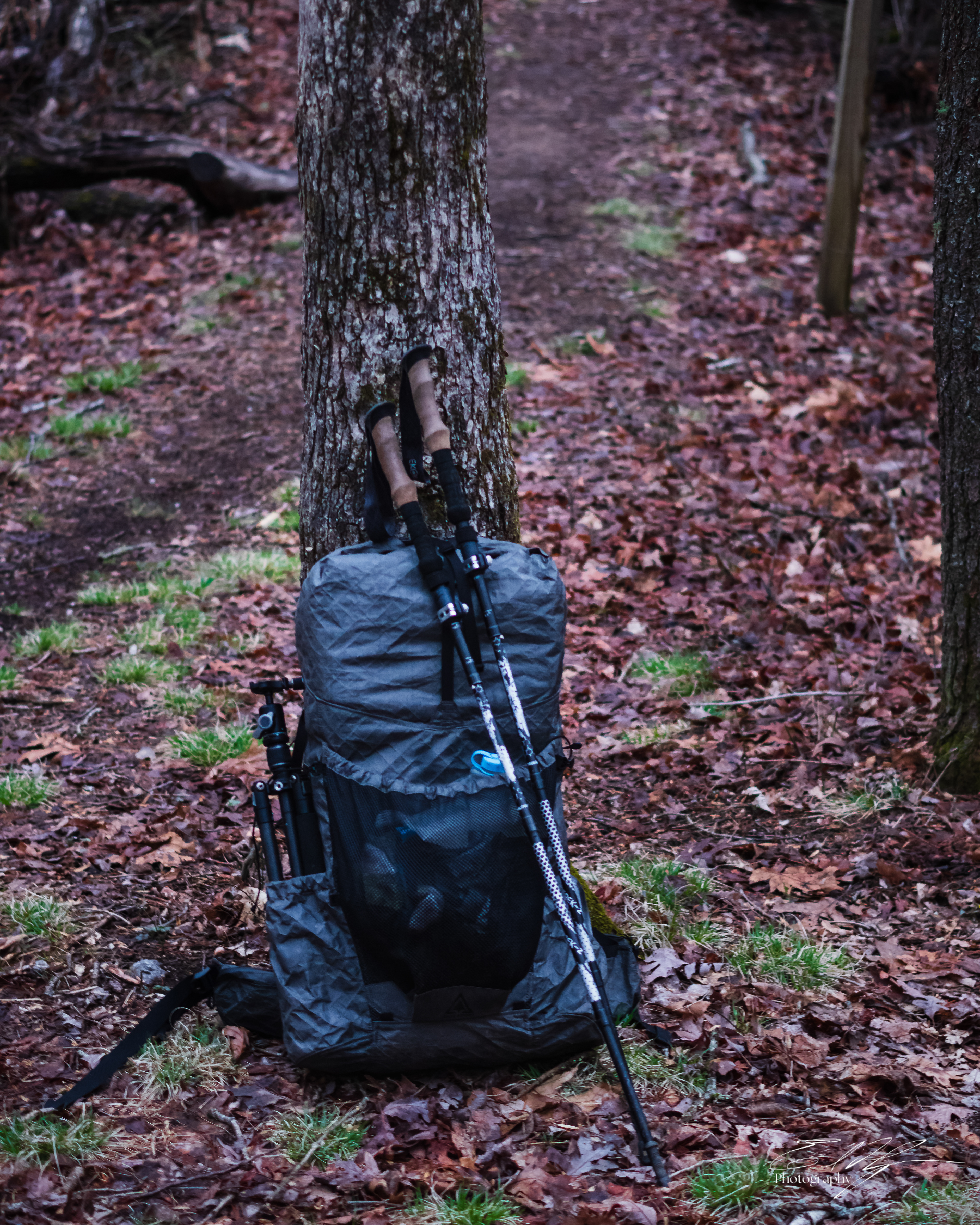 Benton MacKaye Trail 2025   IV