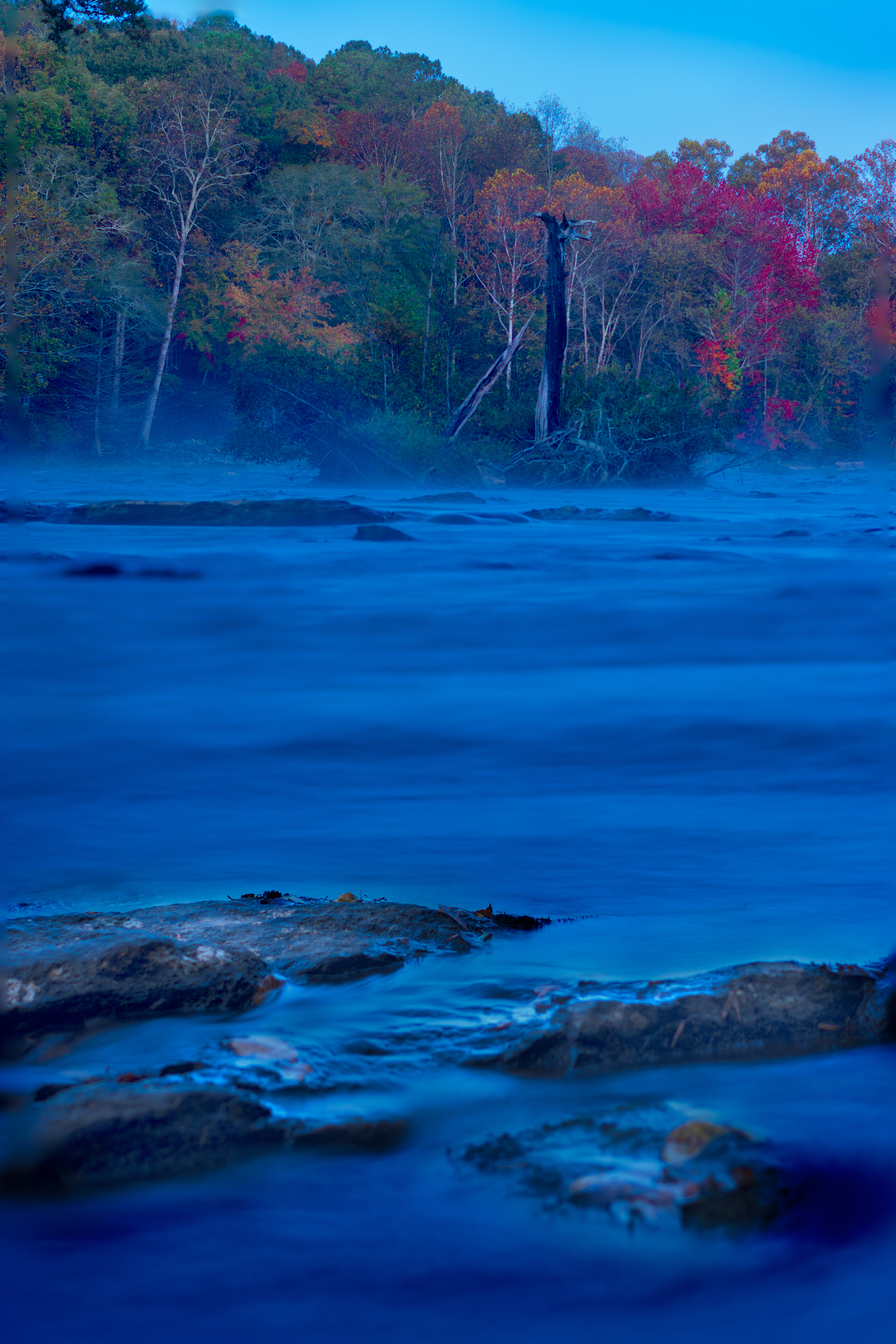 Ben Burton Park November 2021   II