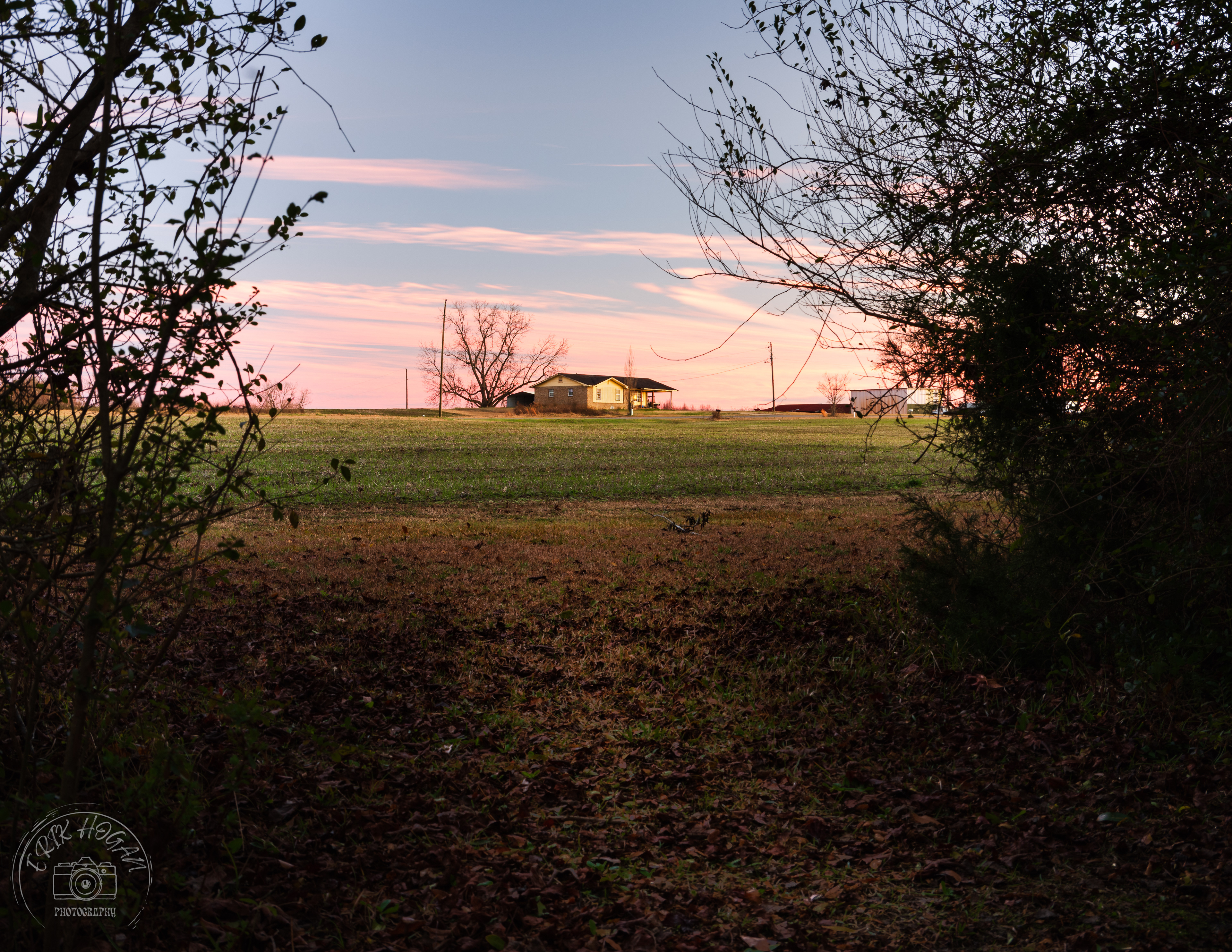 Green Bough House of Prayer January 2024   III