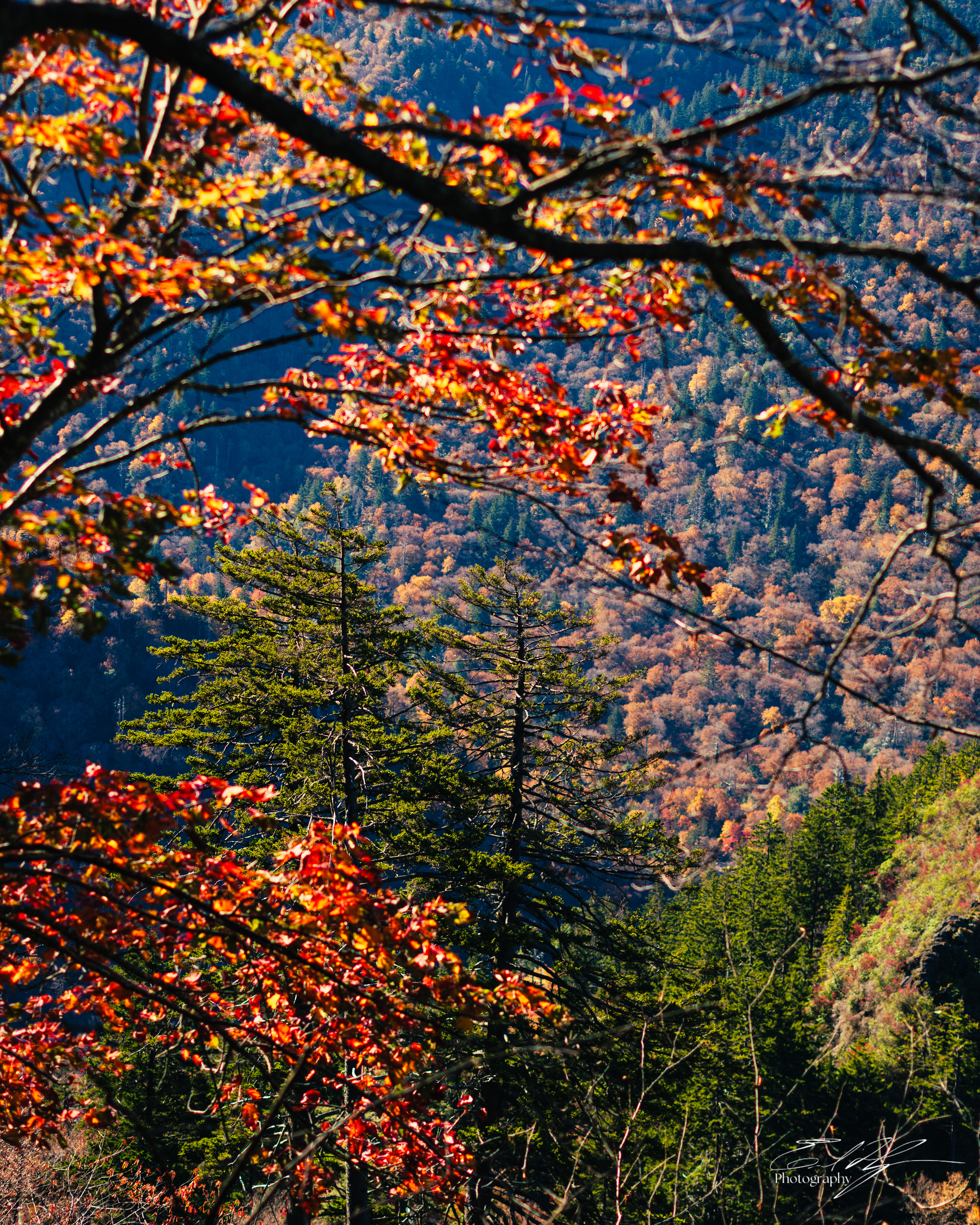 Alum Cave Trail October 2024   X