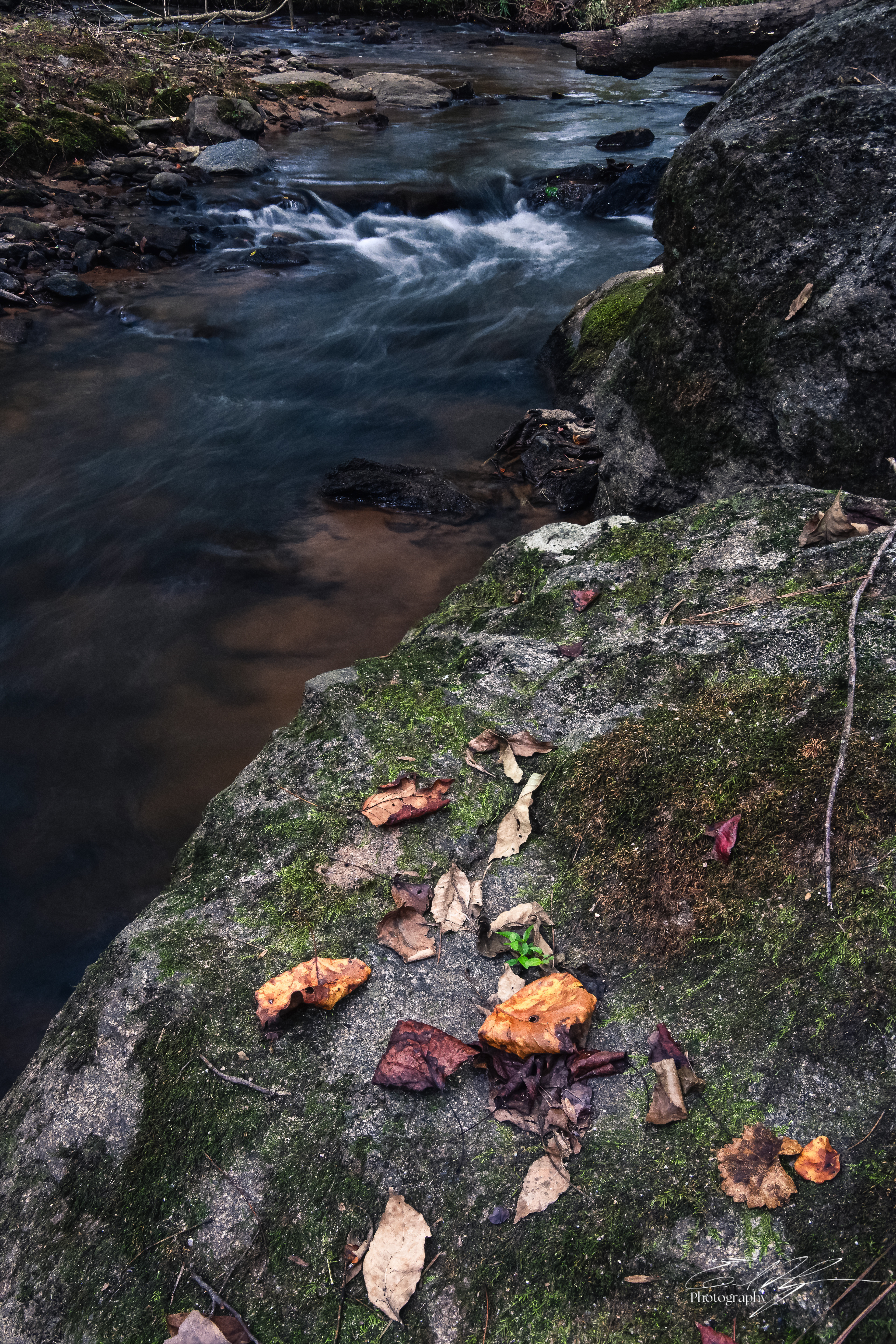 Calls Creek September 2025  III