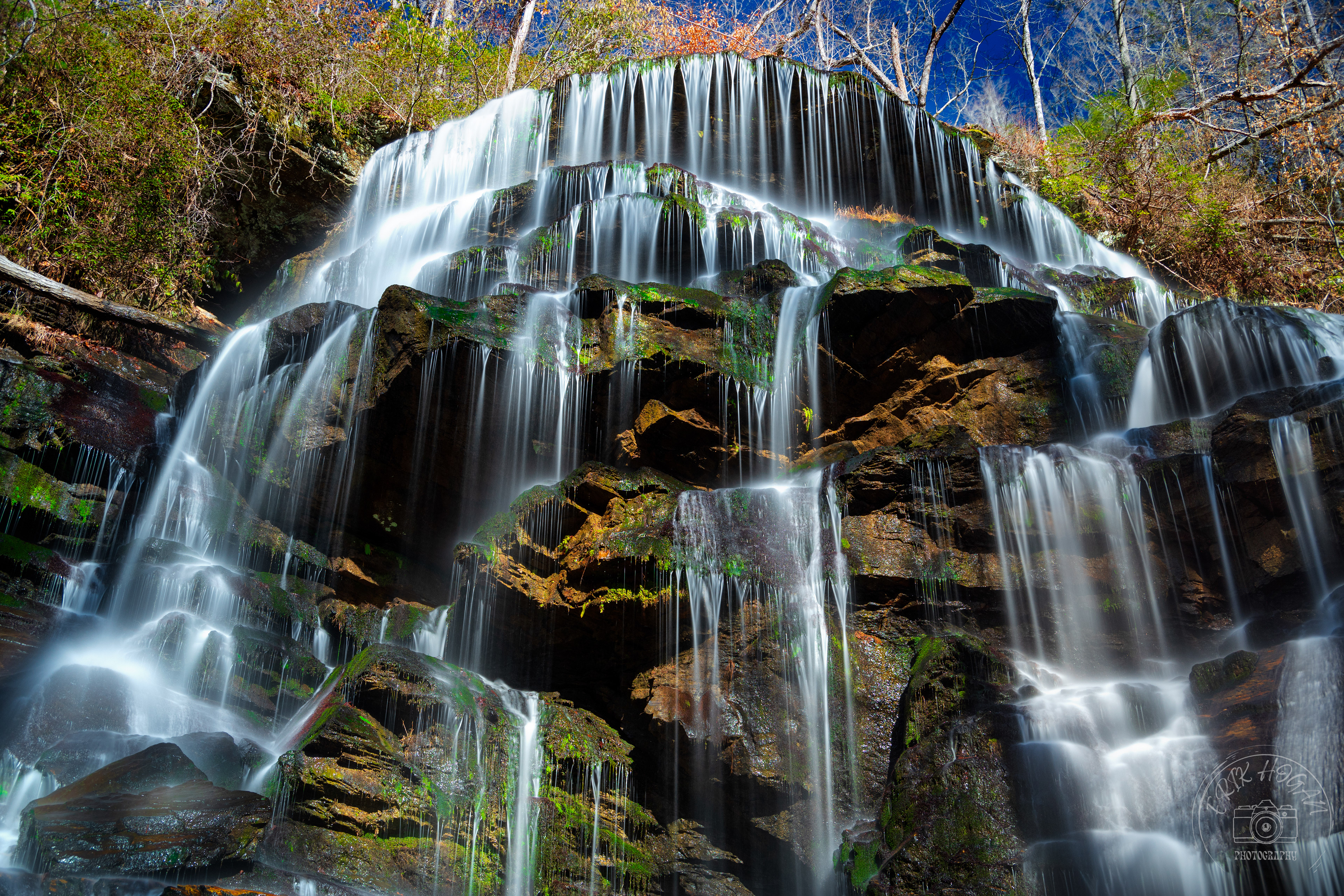 Yellow Branch Falls February 2023   IV