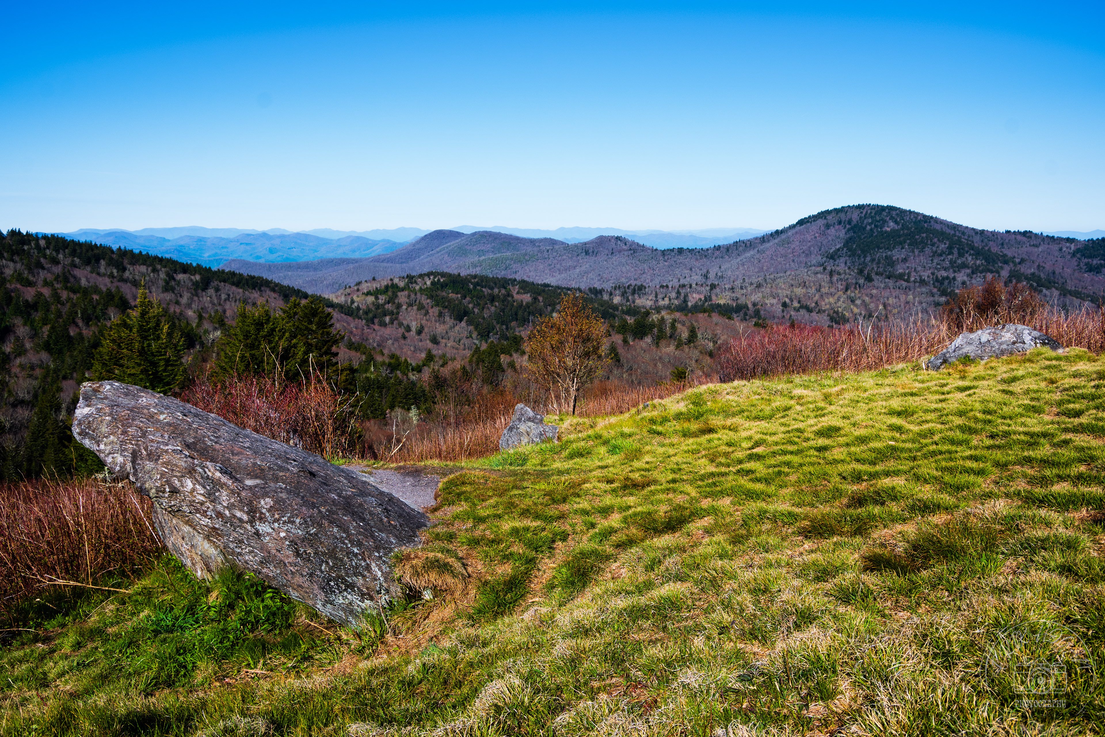 Middle Prong Wilderness May 2023   V