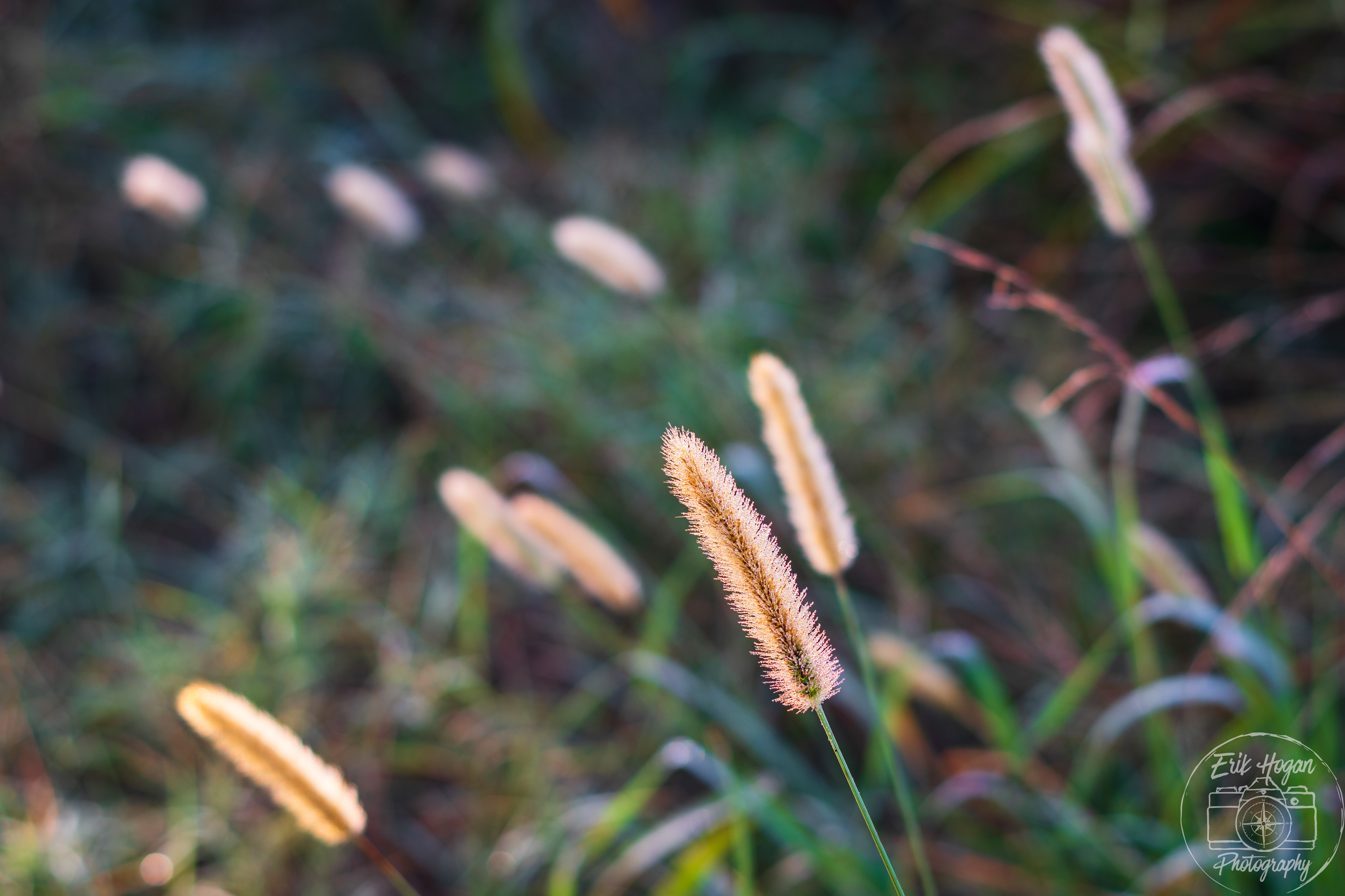 Nowhere Rd August 2024   II