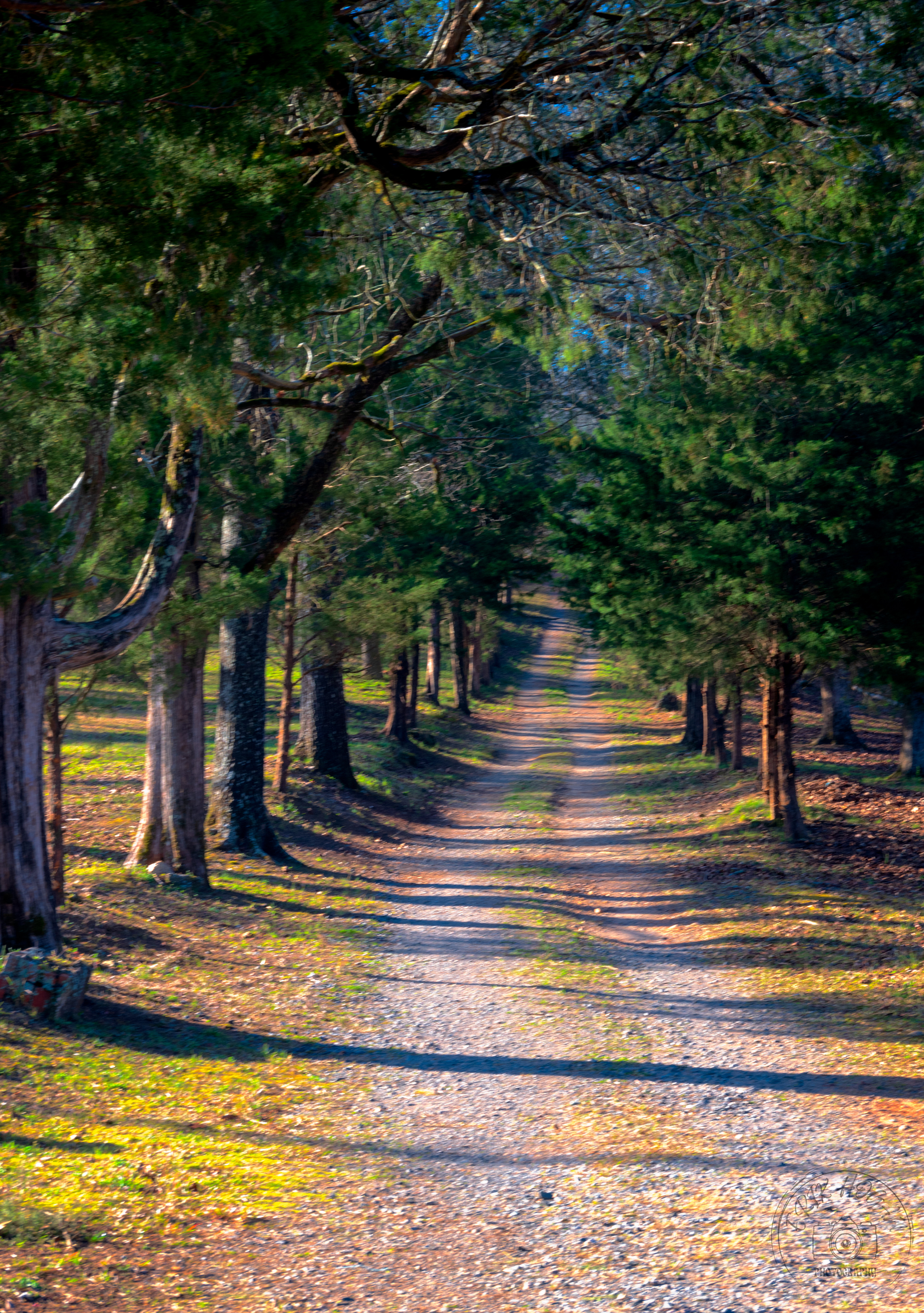 Milledgeville, Ga March 2022