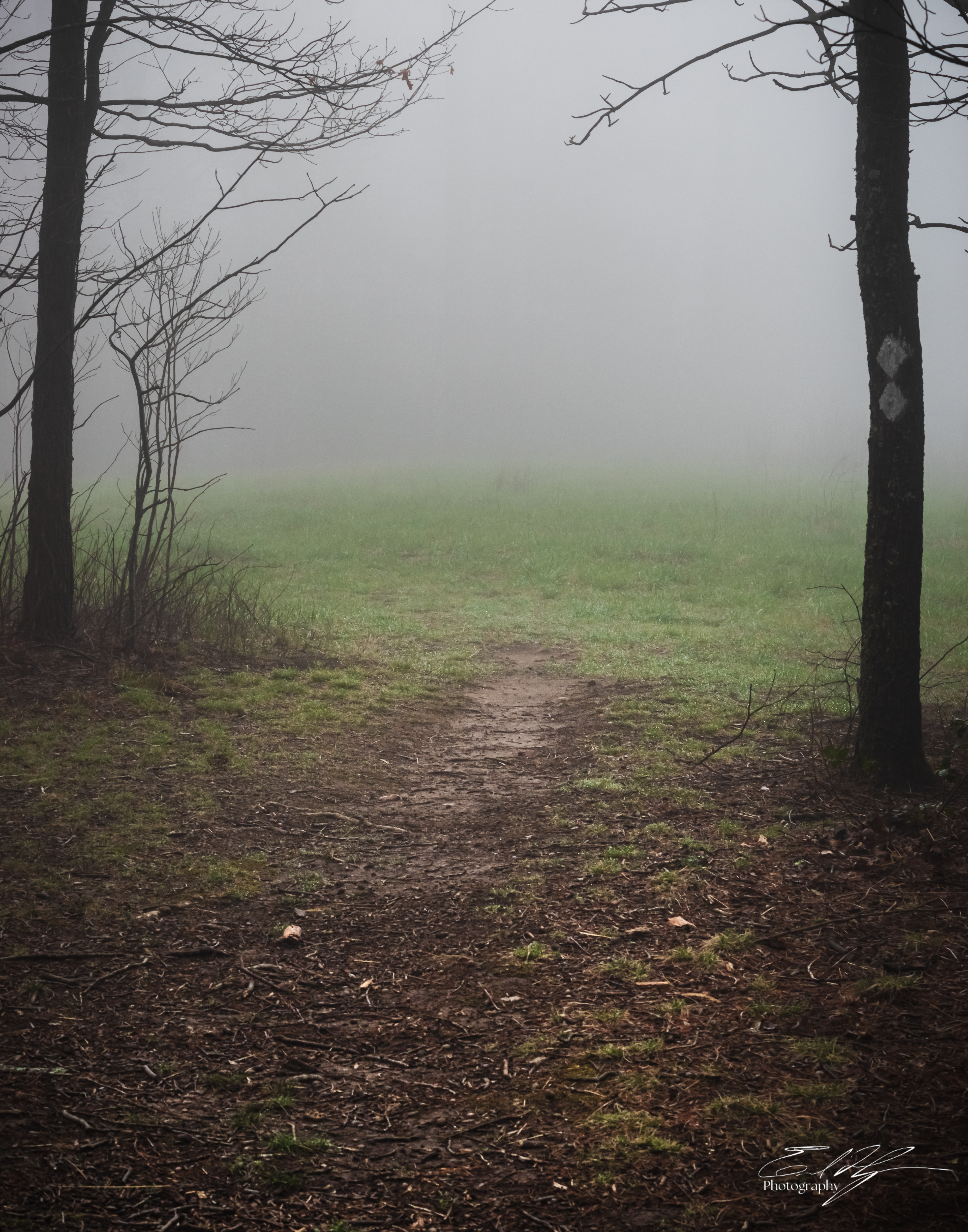 Benton MacKaye Trail 2025   V