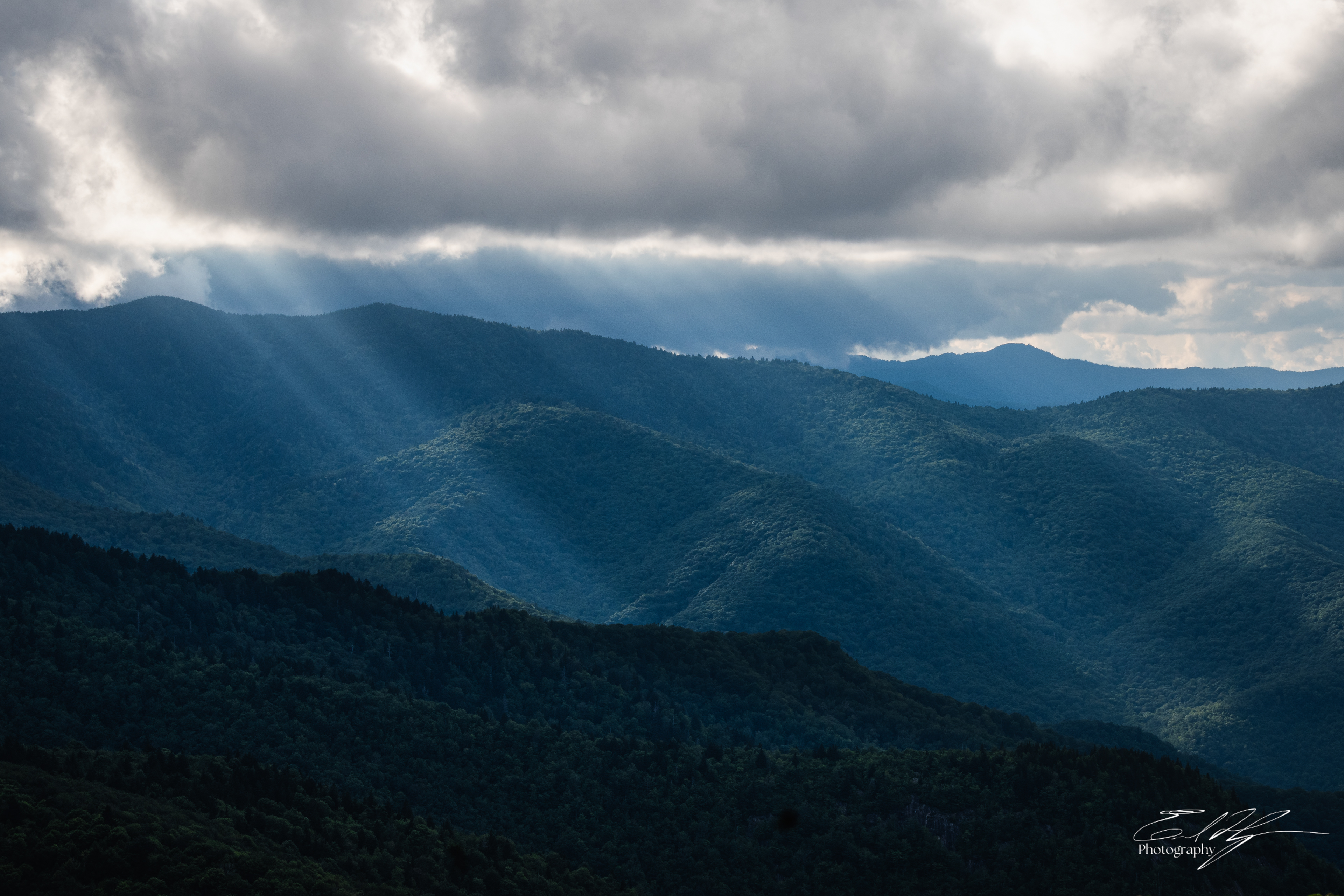 Sam Knob August 2025 VIII