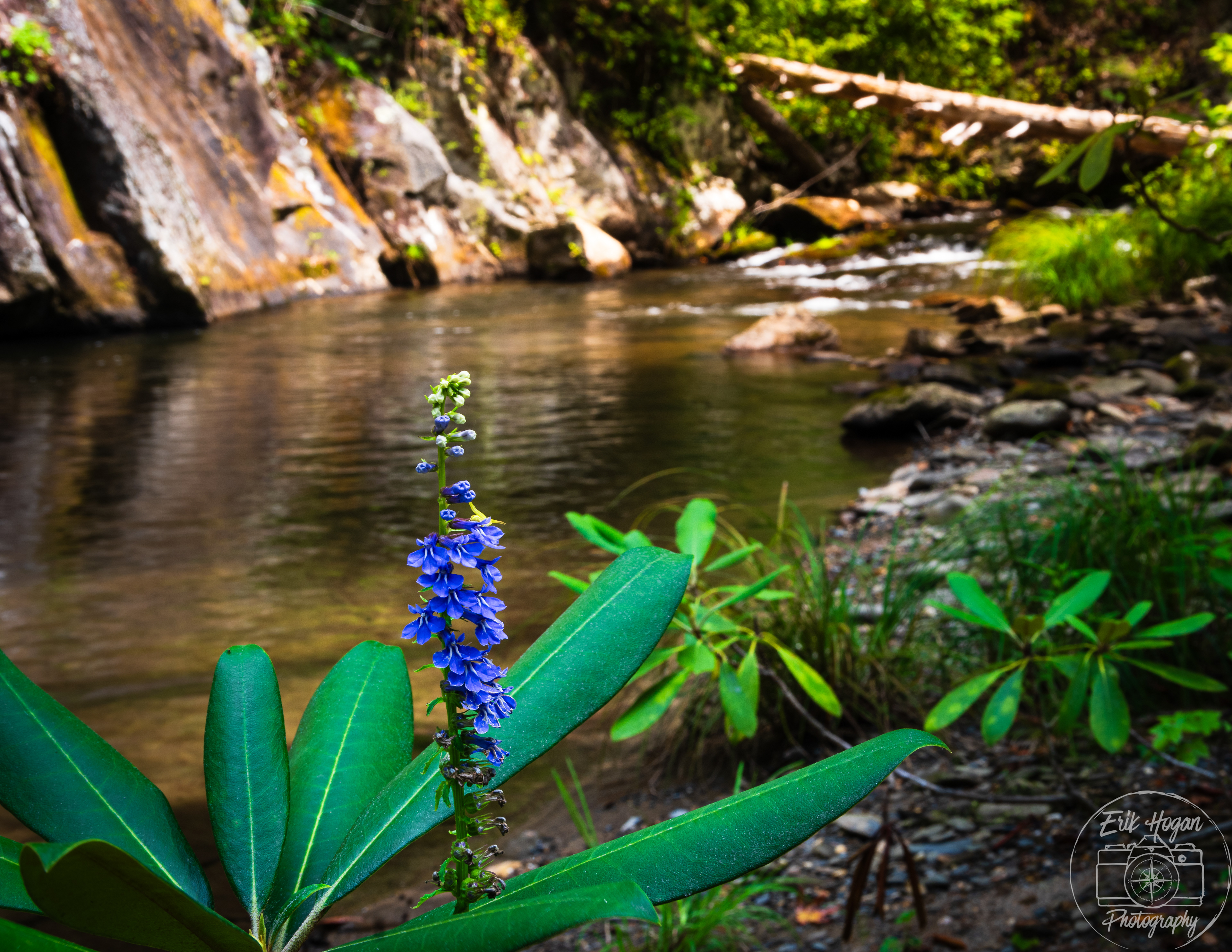 Jack's River September 2024   II