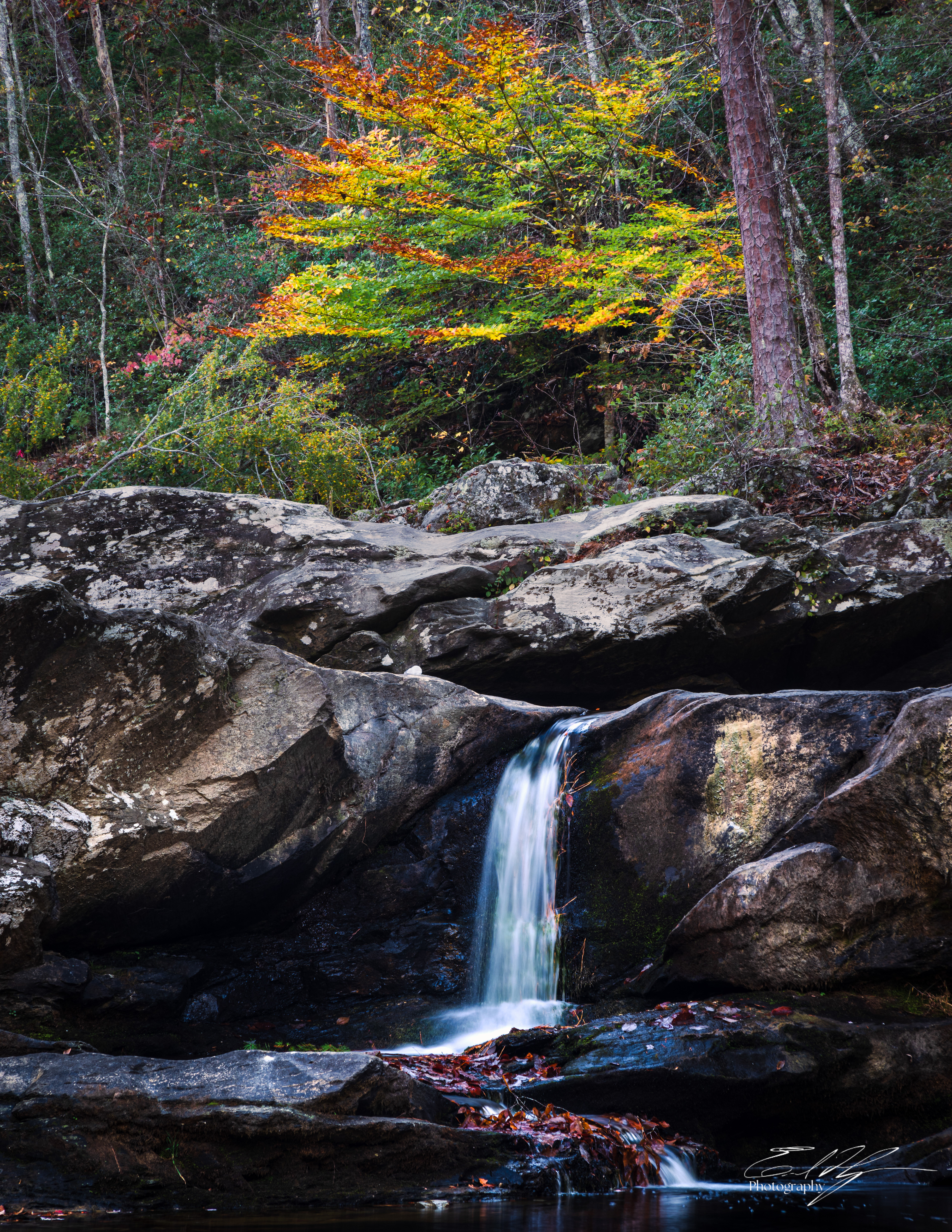 Devil's Den Falls November 2024   II