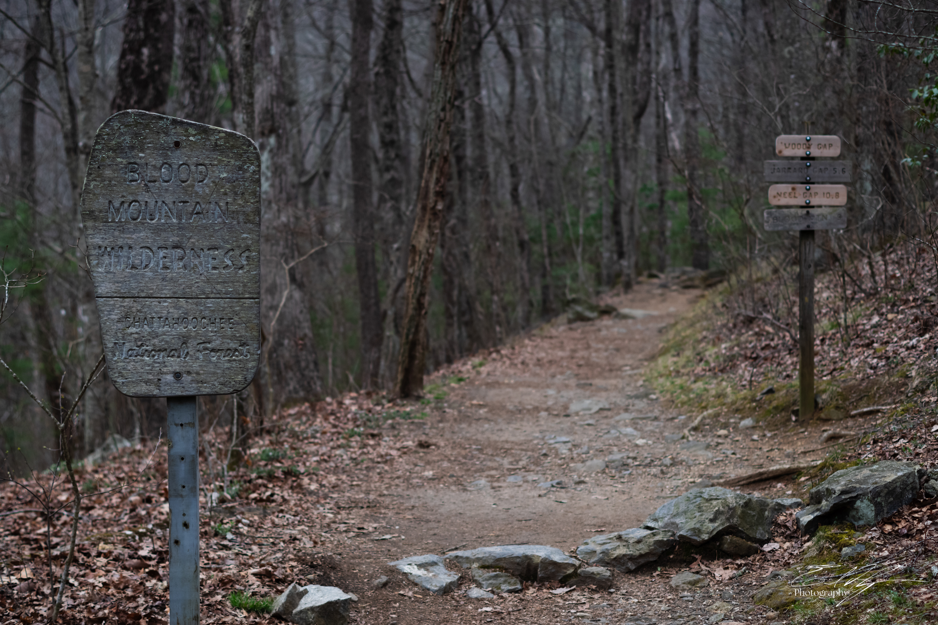 Appalachian Trail 2025   X