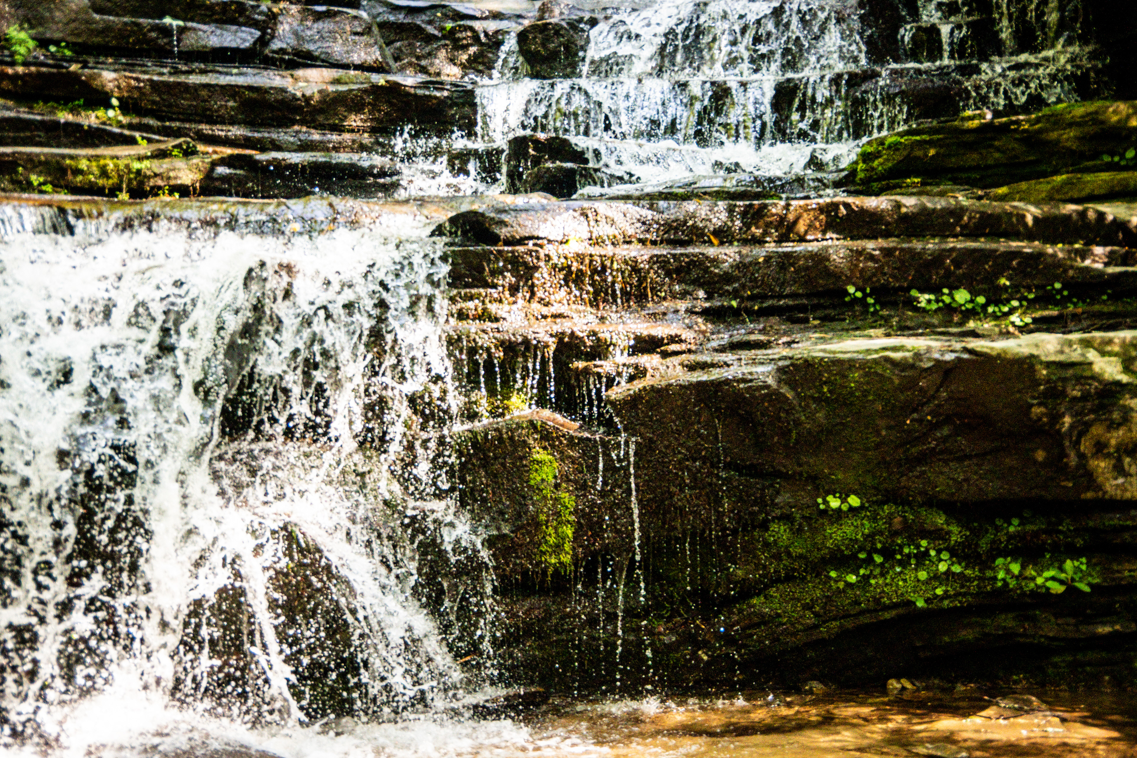 Panther Falls May 2021   III