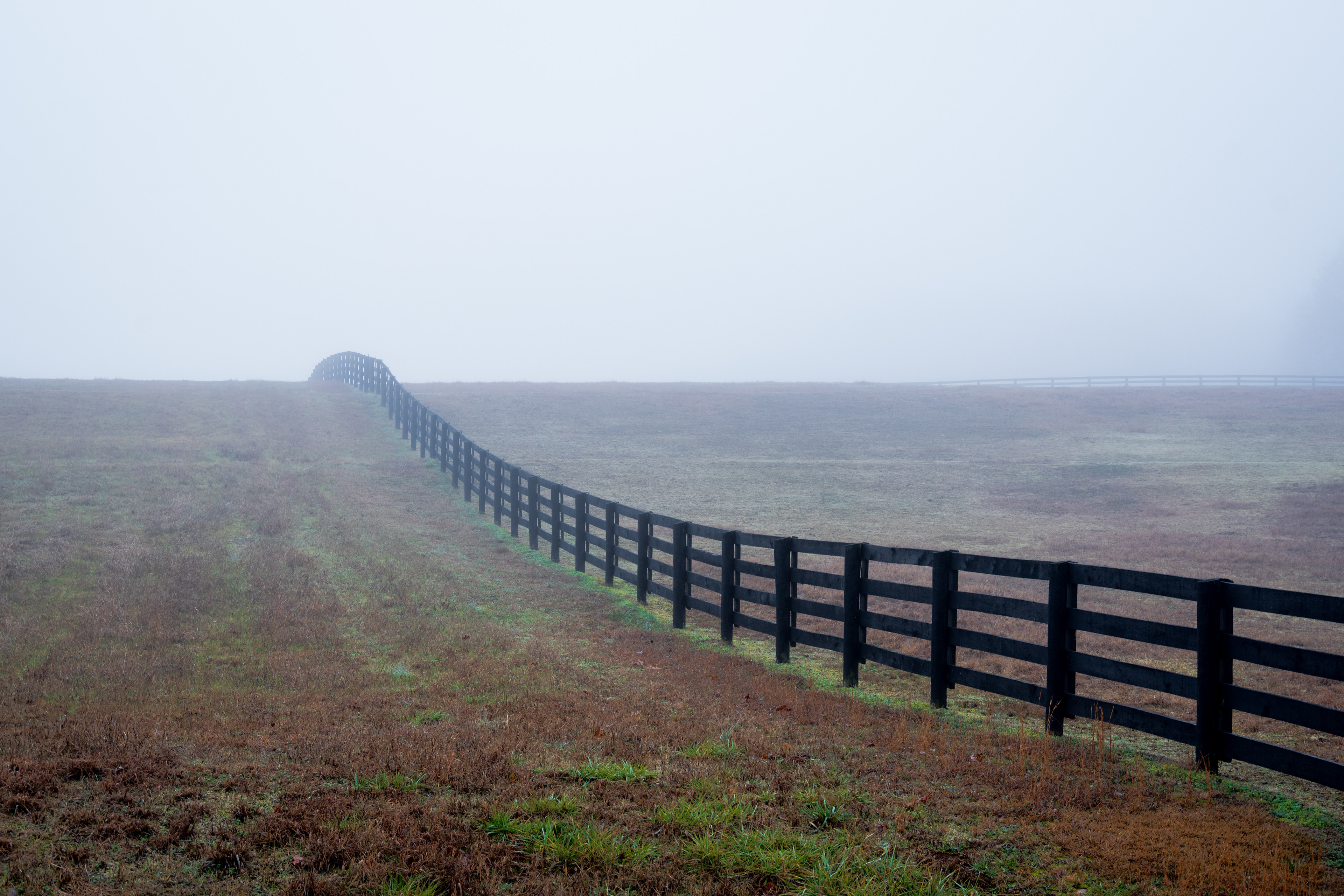 Beaverdam Rd Fog January 2023