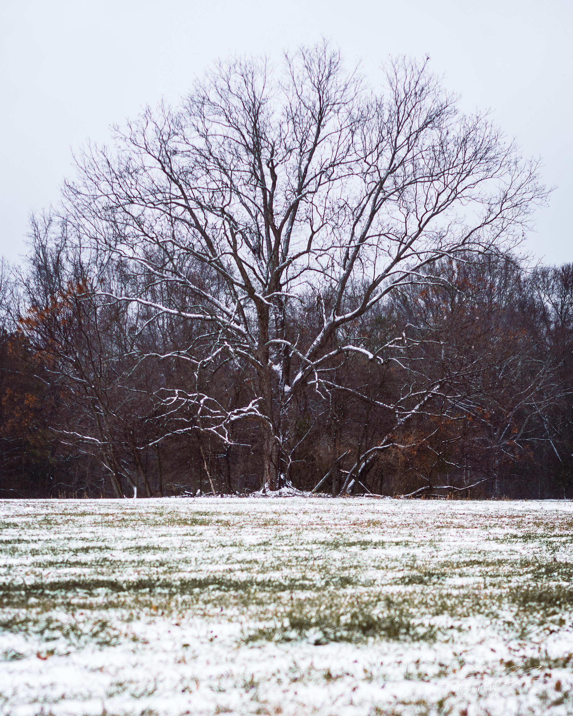 Snow Day January 2025   II