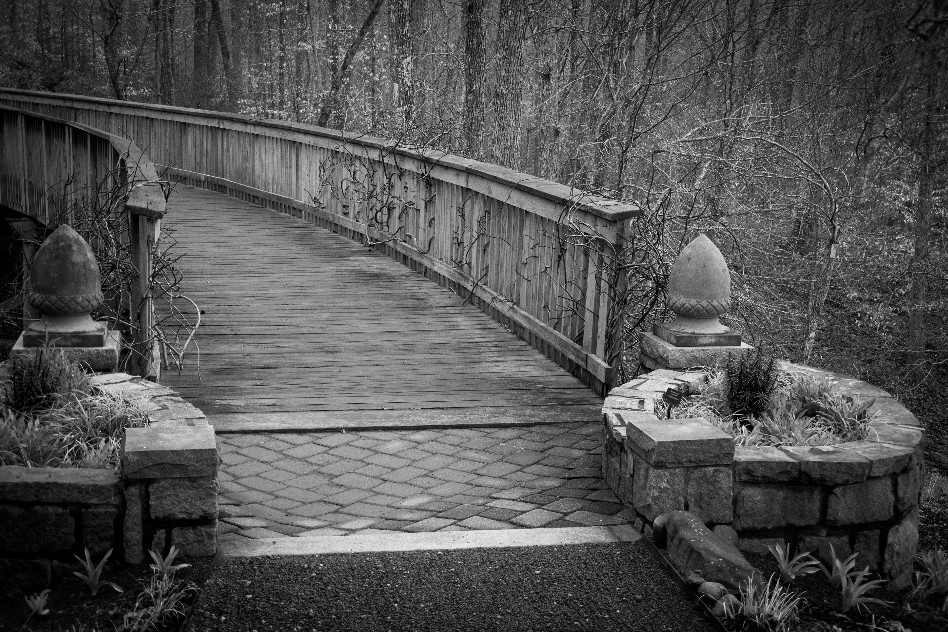 State Botanical Gardens of Georgia February 2021