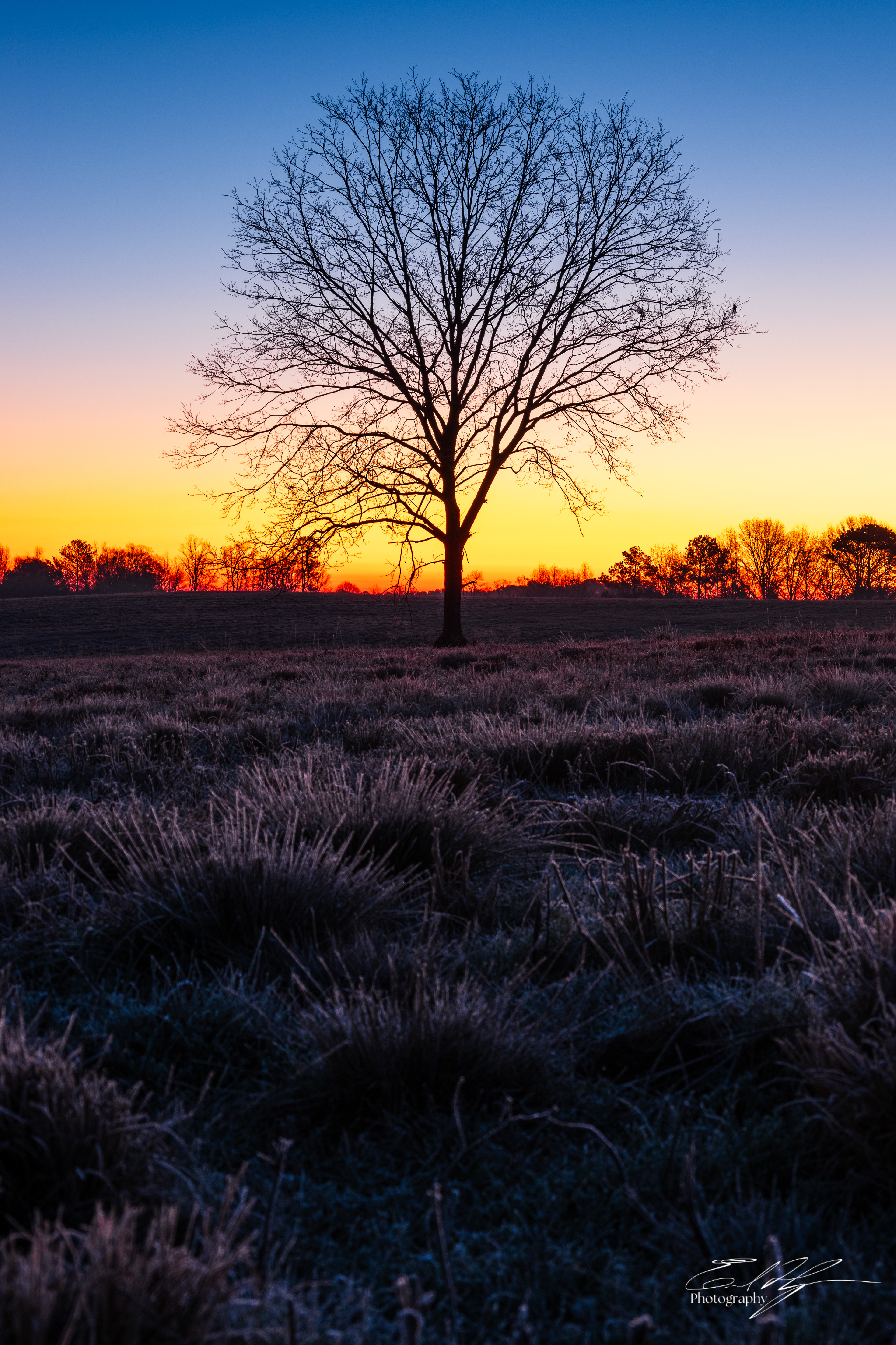 Frosty Sunrise January 2025   I