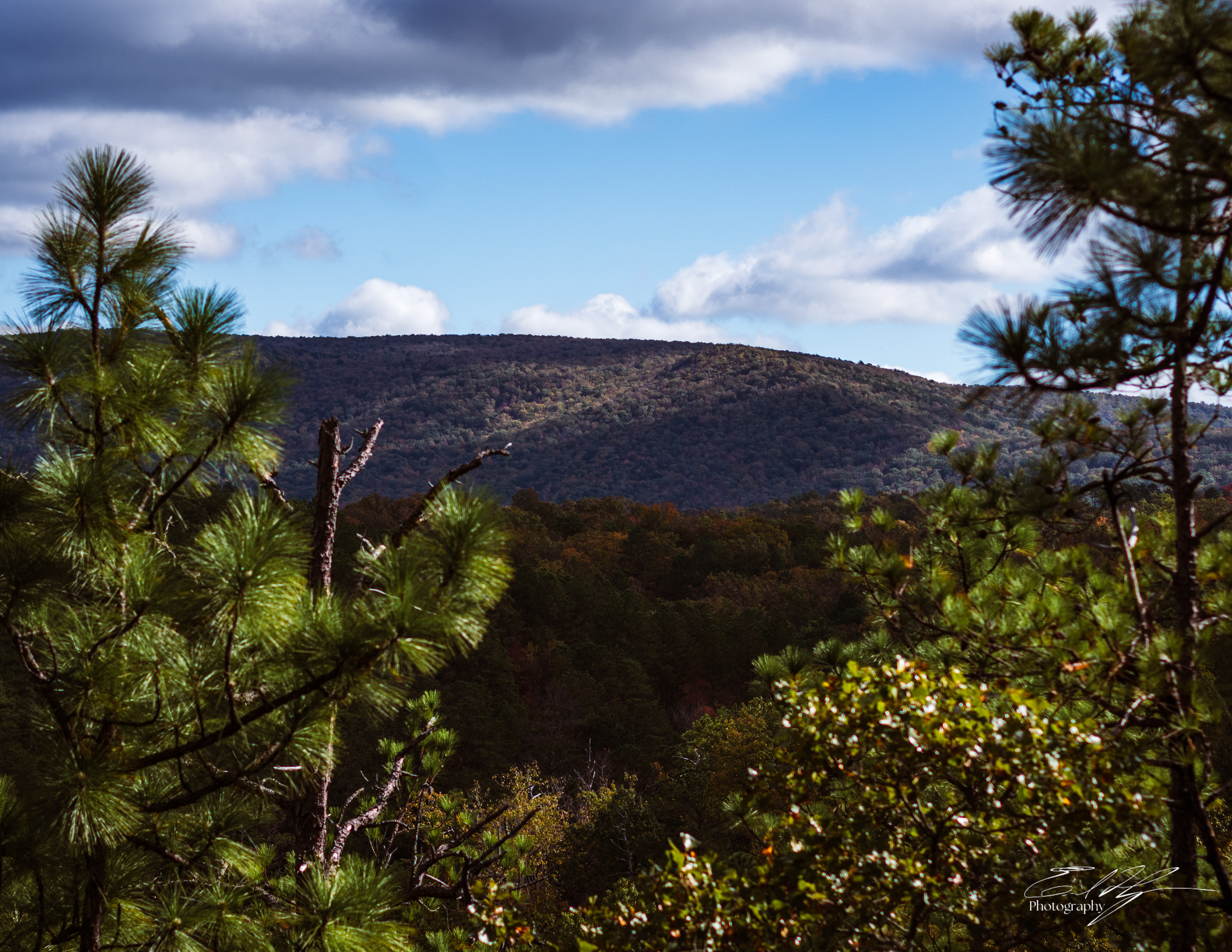 Pin-Chin-Sky Loop November 2024   XV