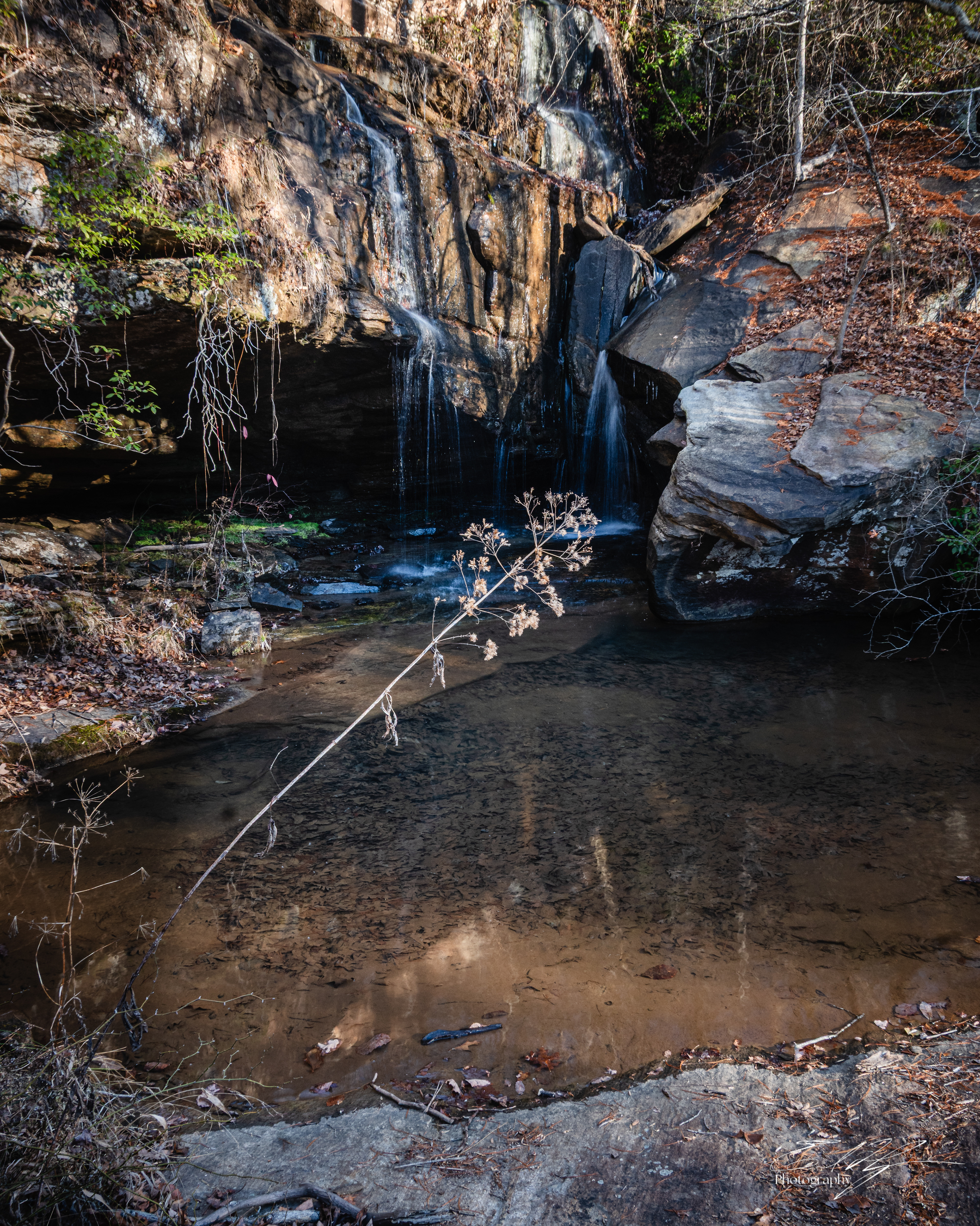 Big Leatherwood Falls, Lake Russell WMA January 2026 I