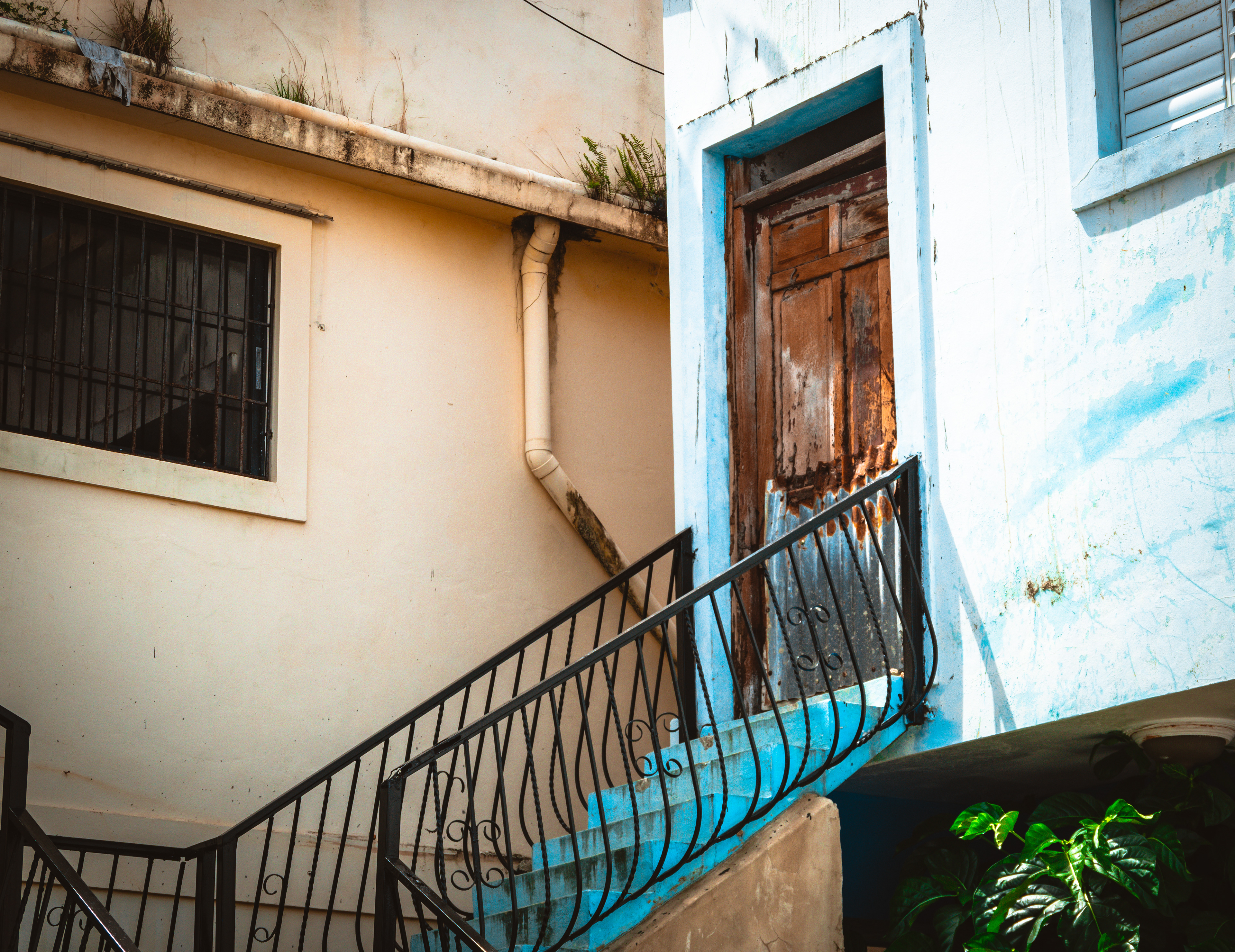 Puerto Plata, Dominican Republic July 2021   XVIII