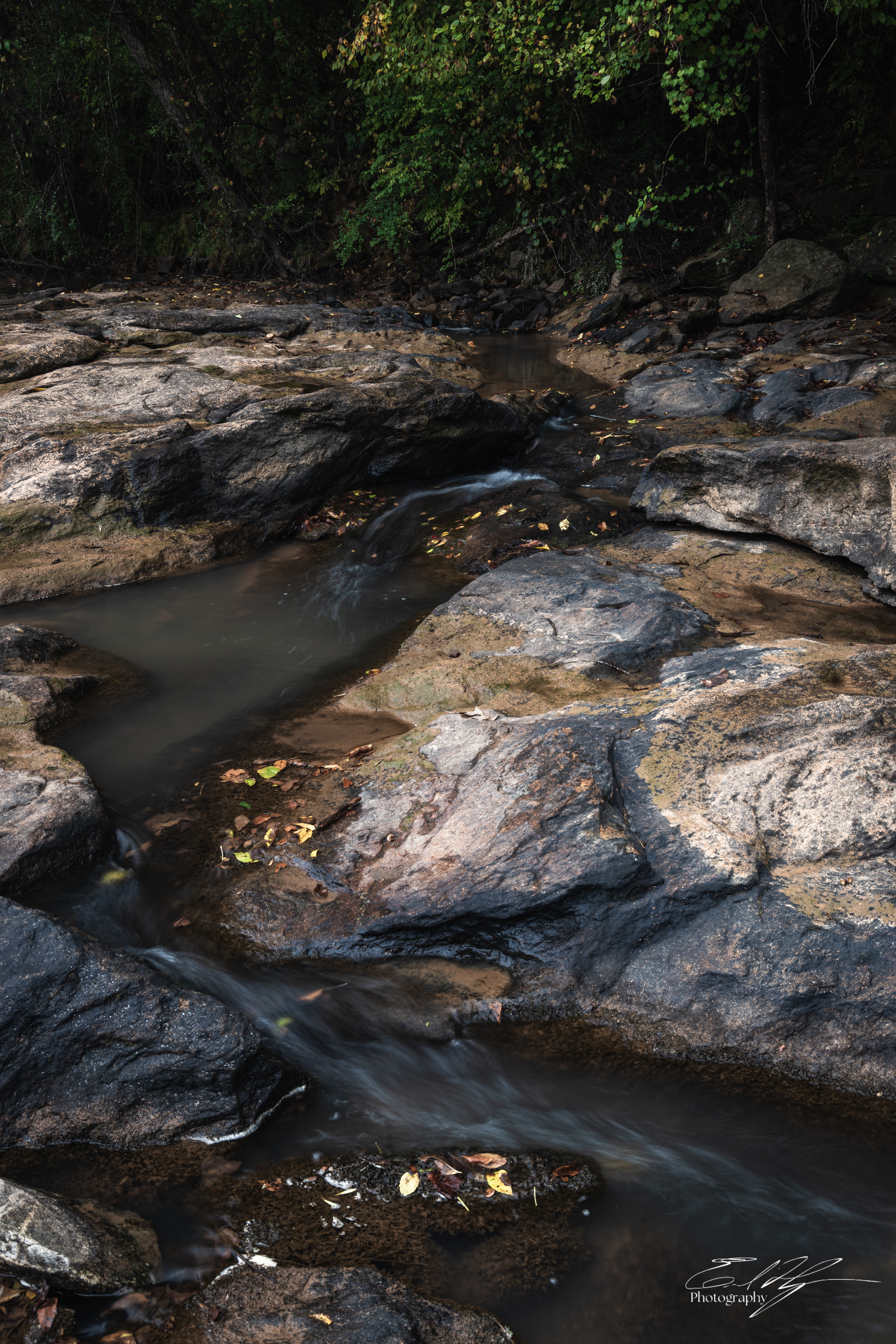 Ben Burton Park October 2025 II