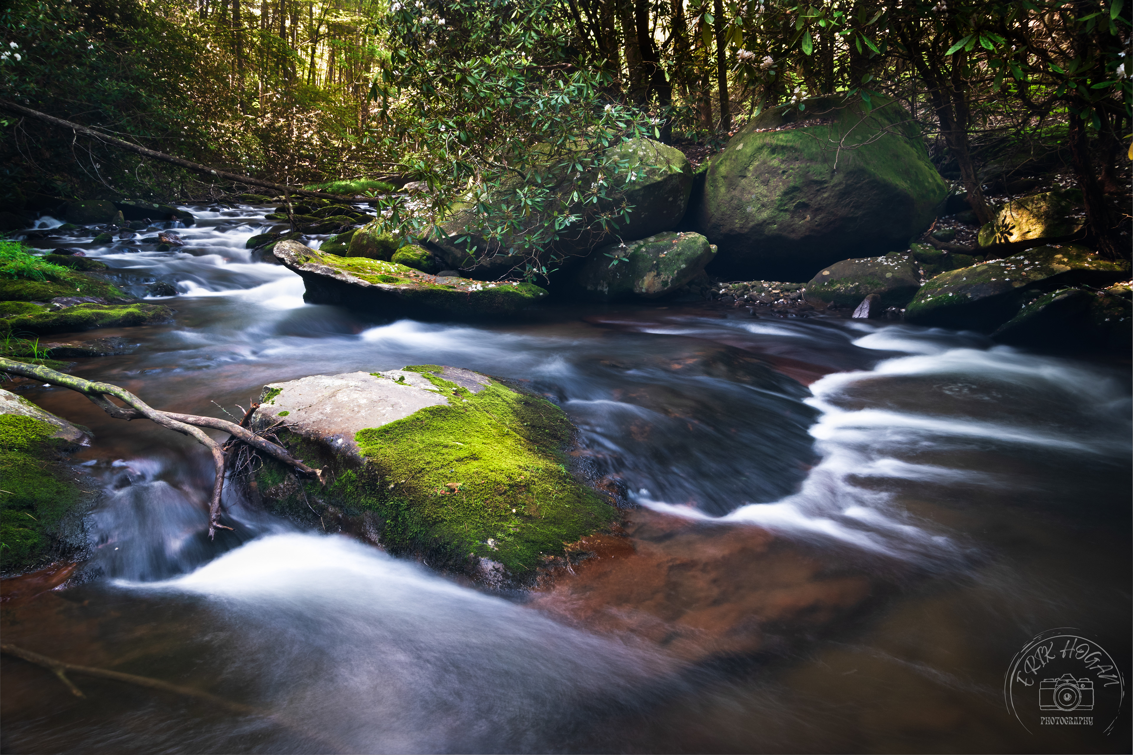 Conasauga River July 2023   III
