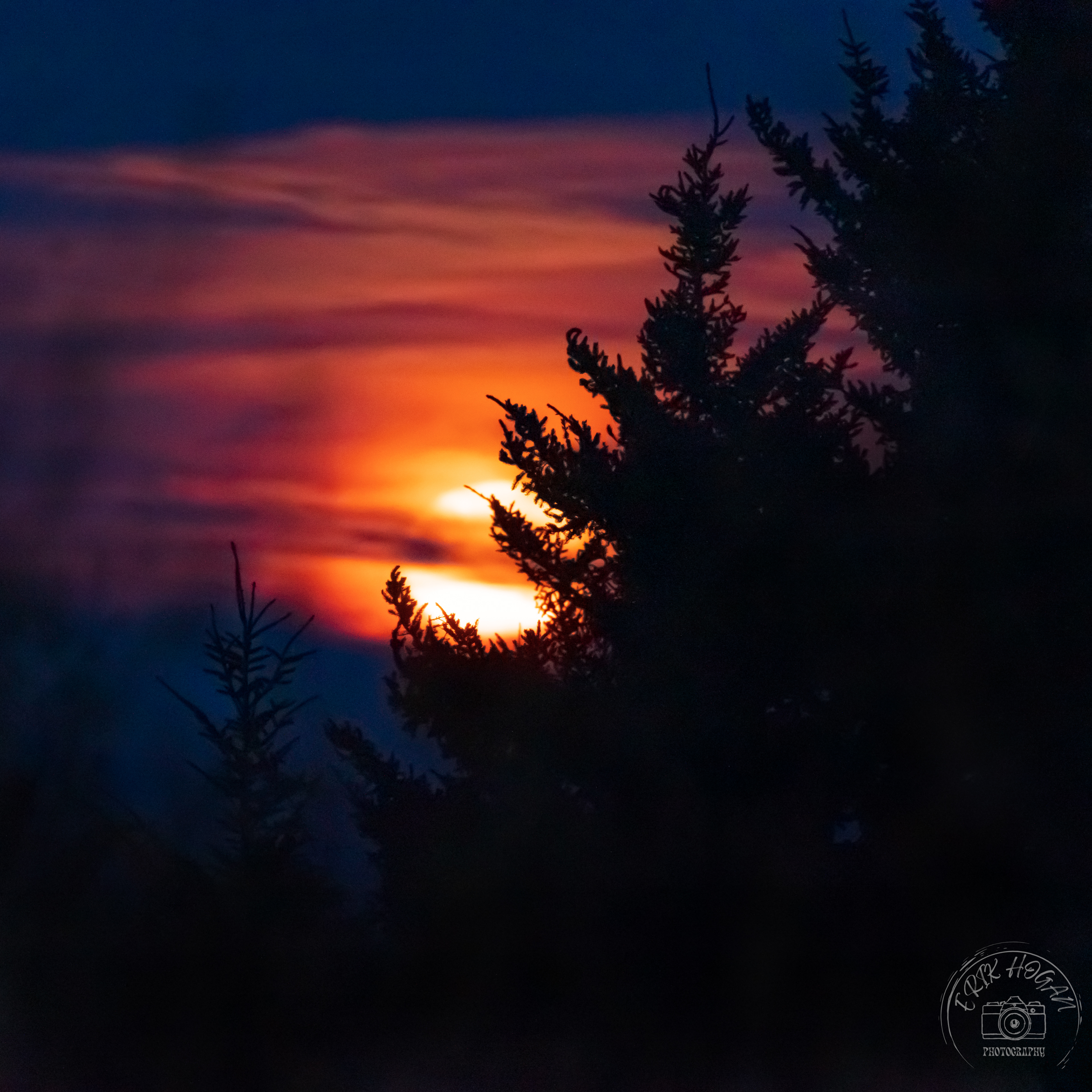 Middle Prong Wilderness Moonset May 2023