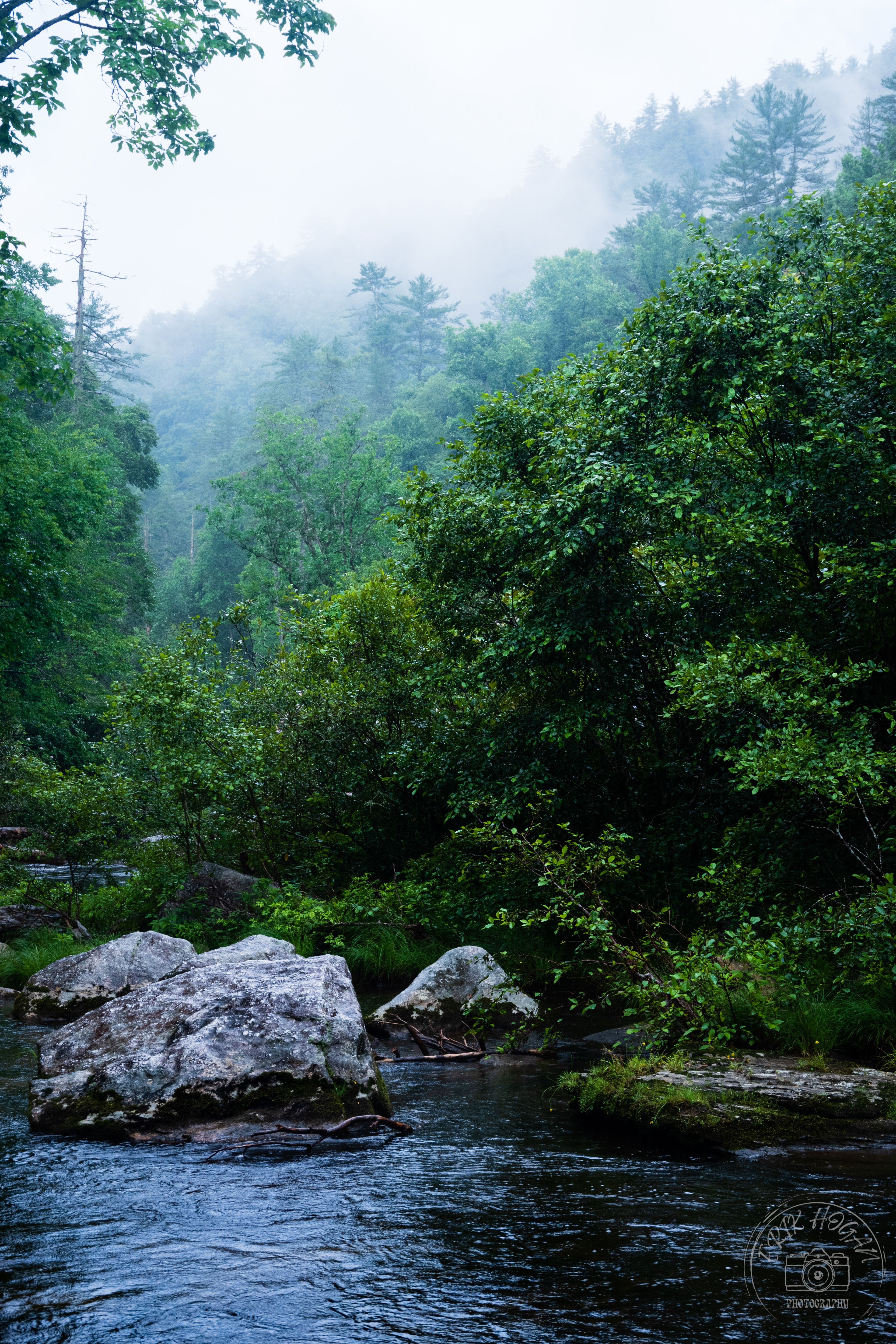 Ellicott Rock Wilderness July 2022   I