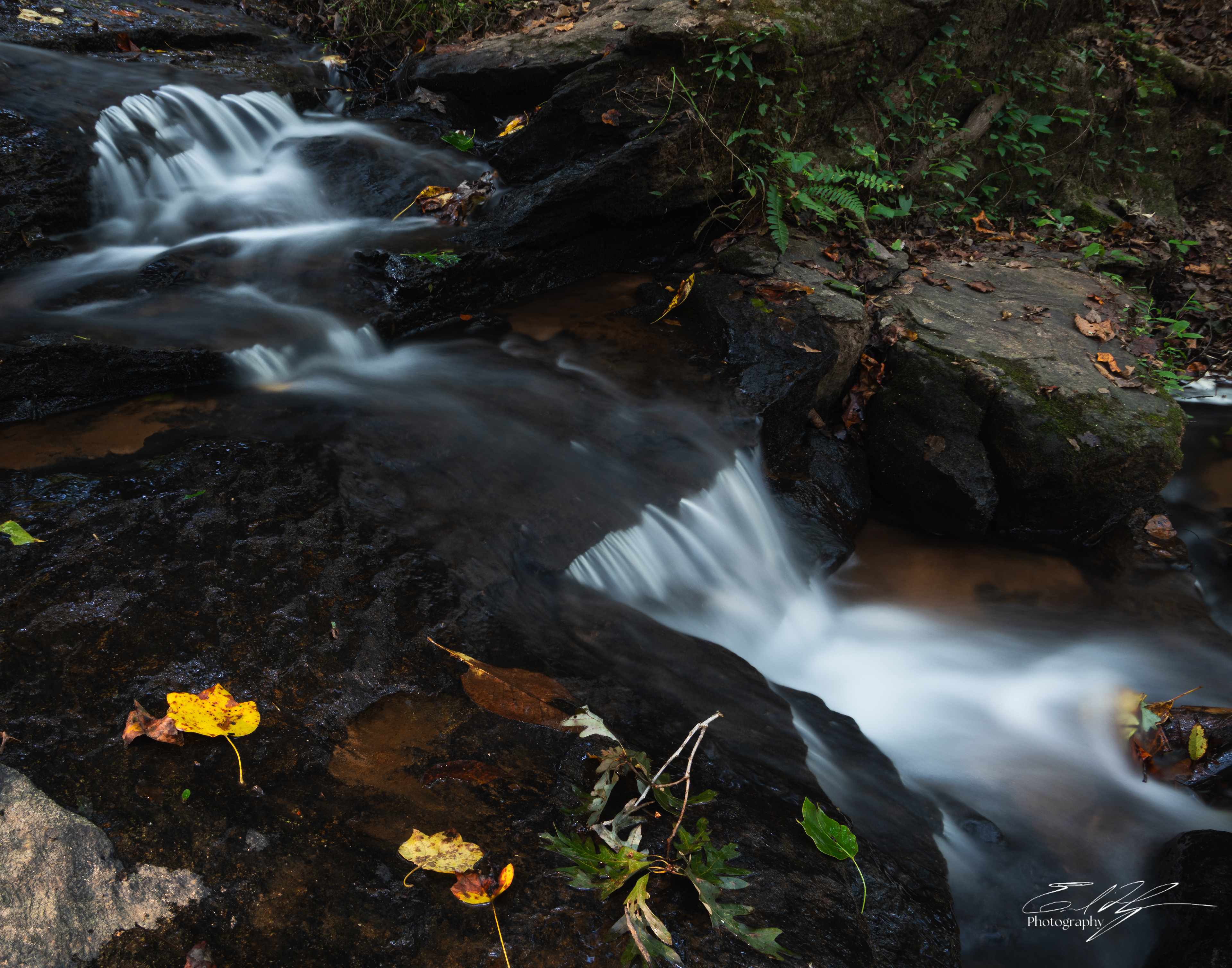 Calls Creek September 2025  VI