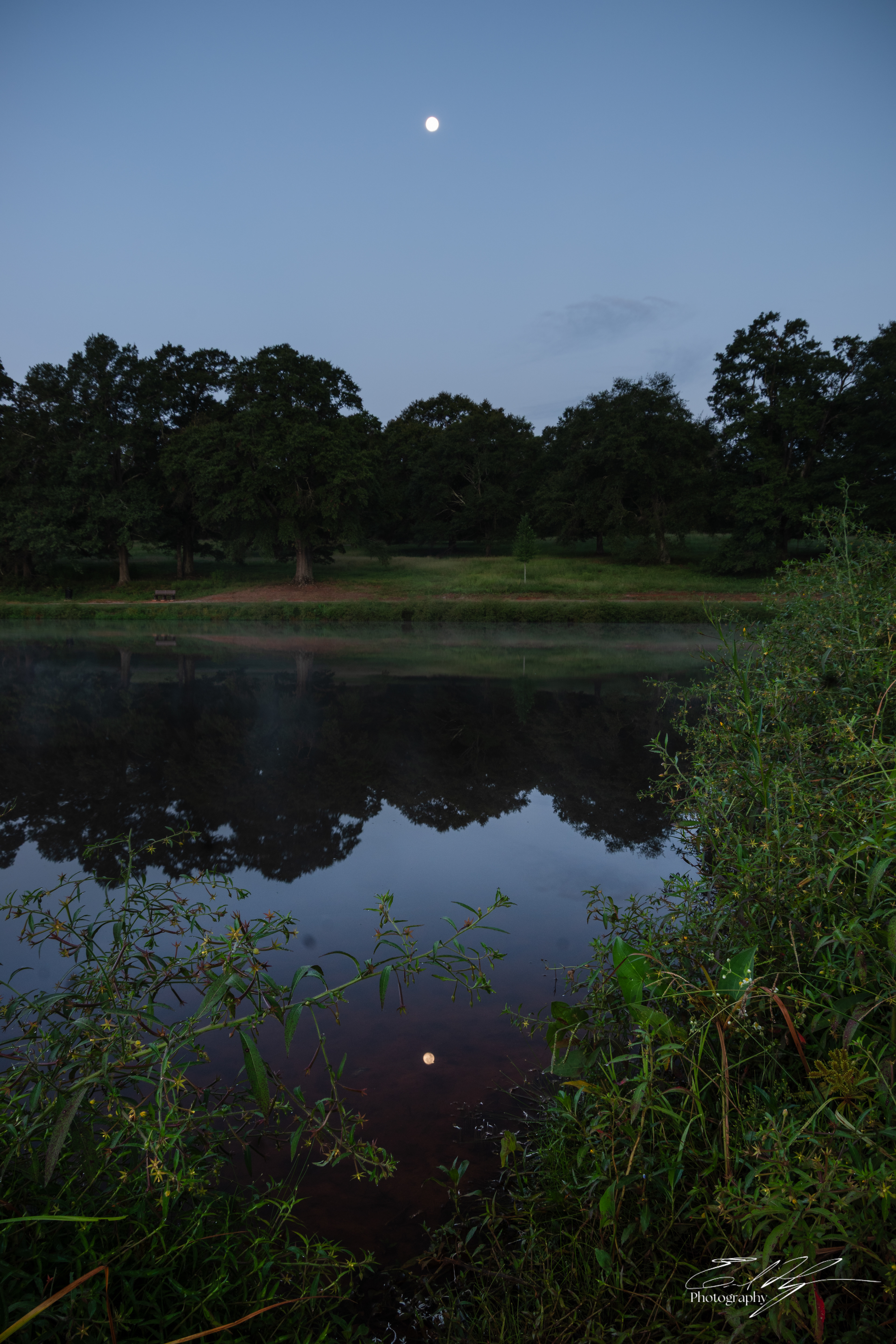 Thomas Farm Preserve September 2025  II