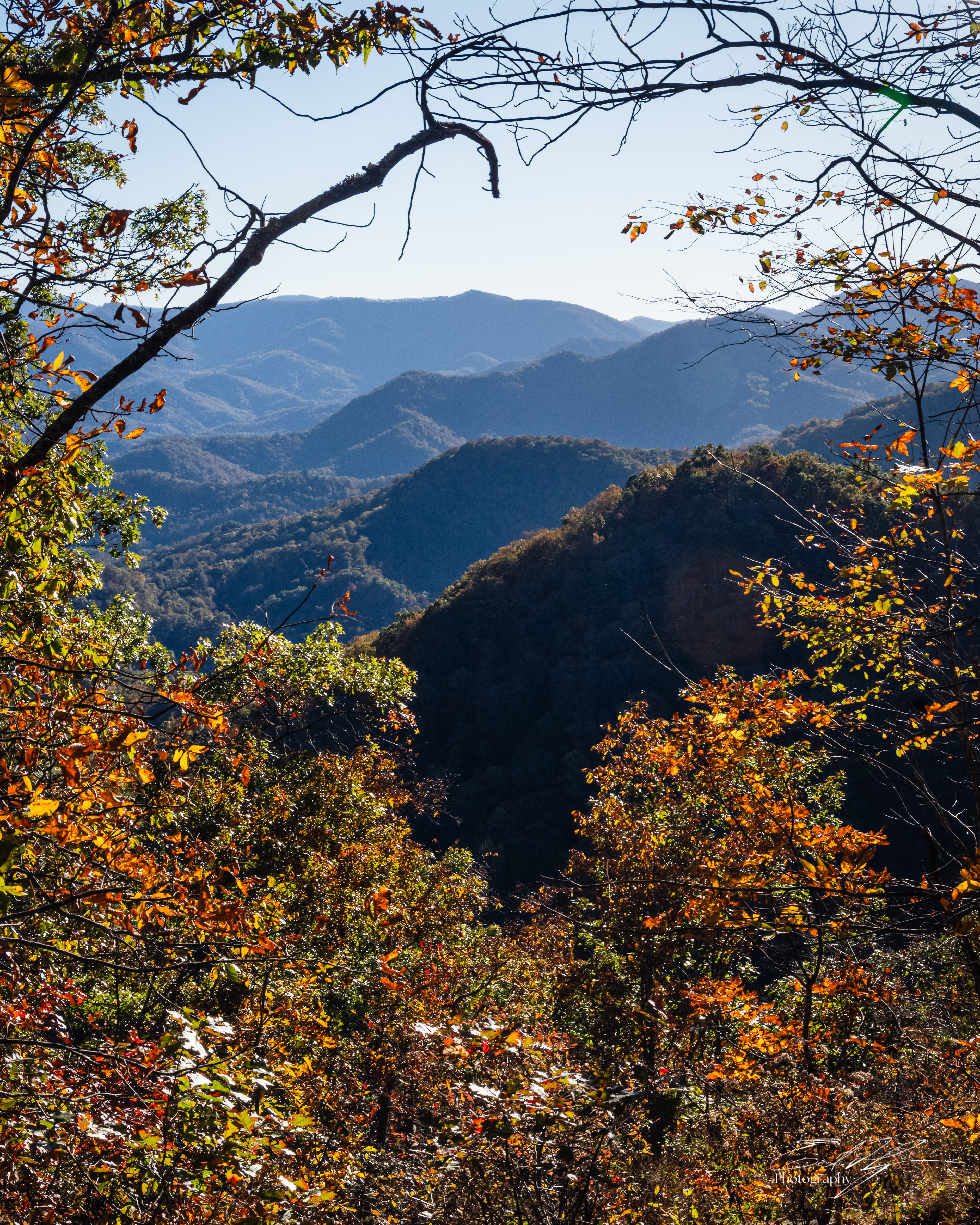 Day 4  William's Pulpit