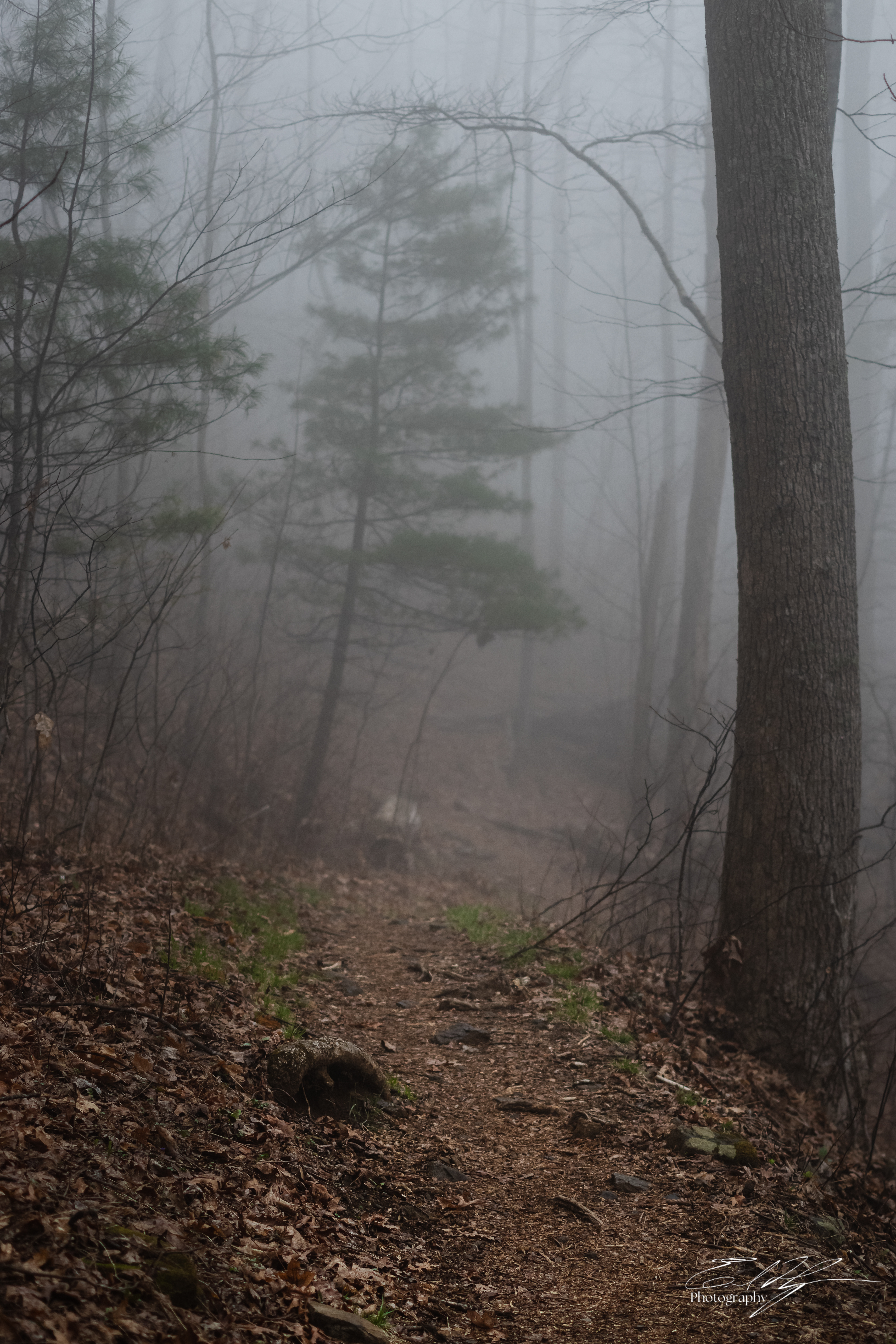 Appalachian Trail 2025   XIII