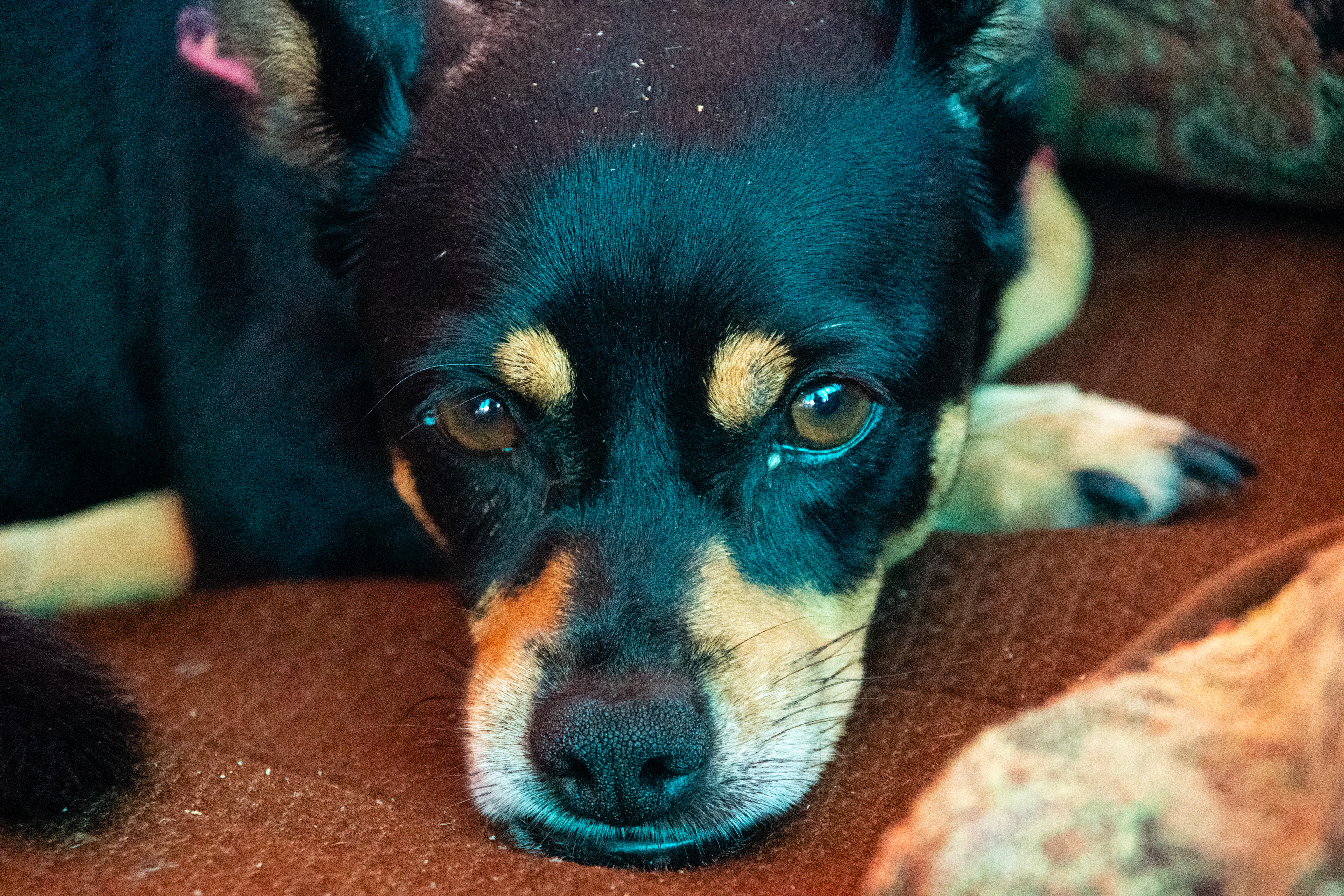 Hotel Kevin July 2021   V