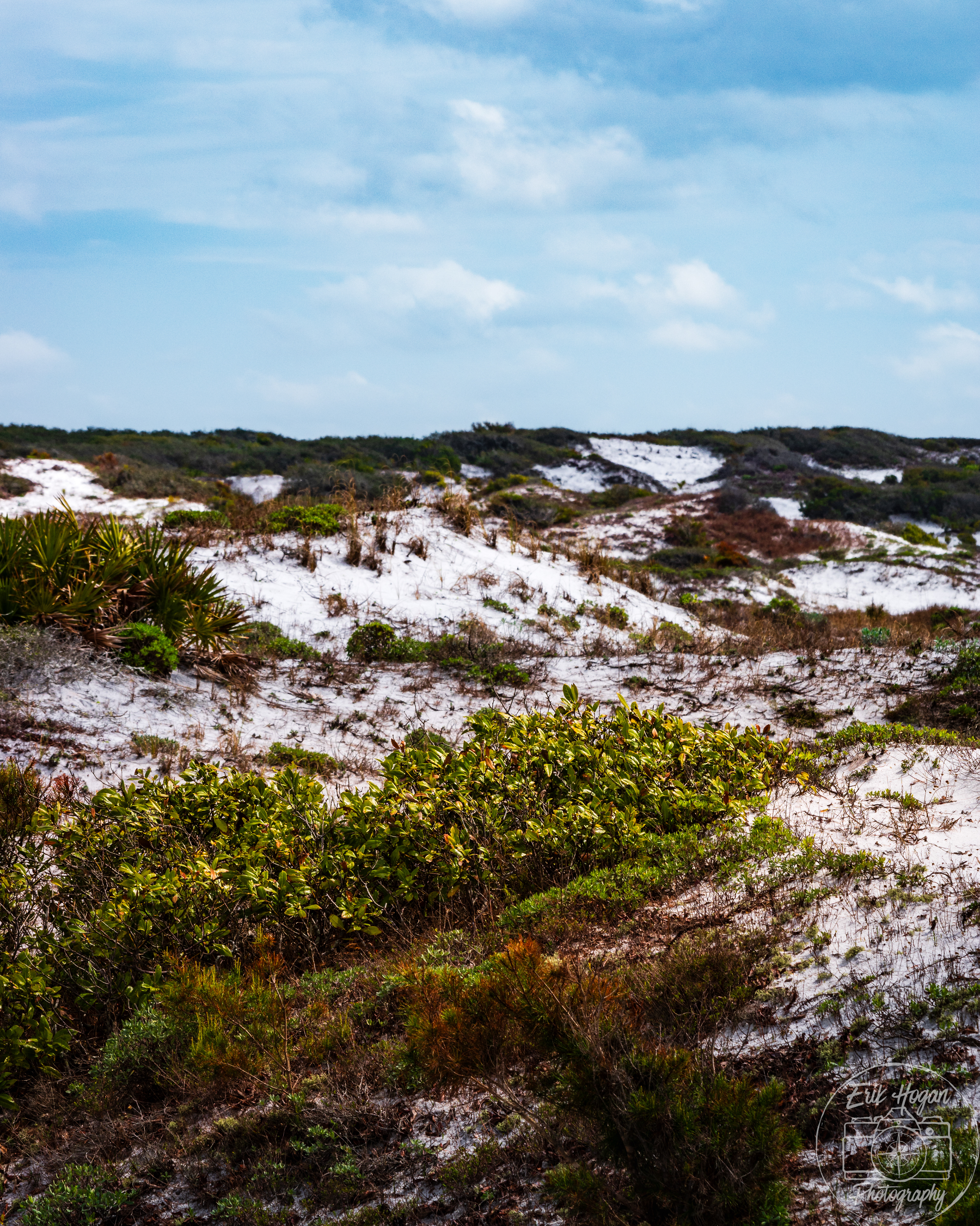 Topsail Hill Preserve State Park March 2024   VIII