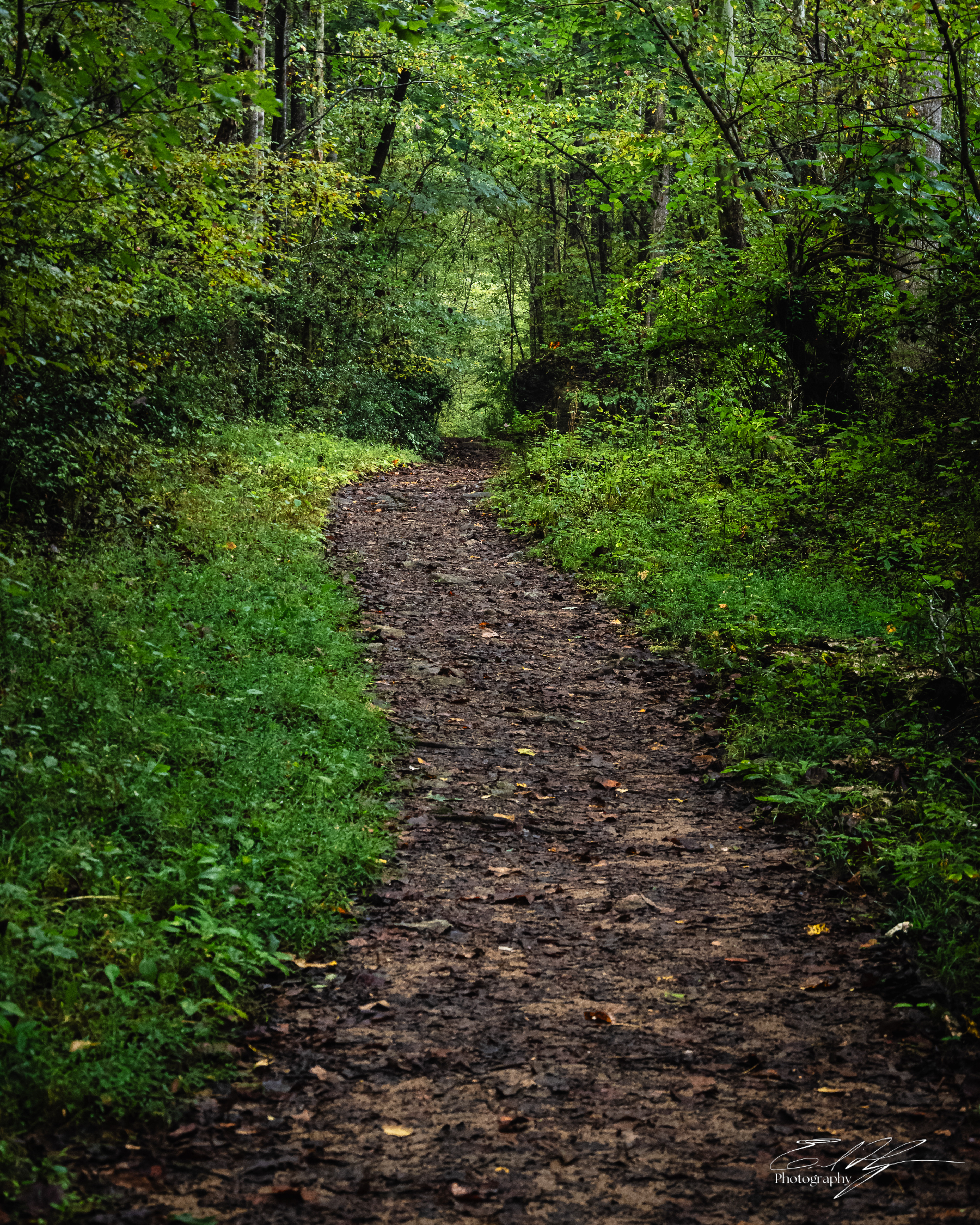 Ben Burton Park October 2025 V