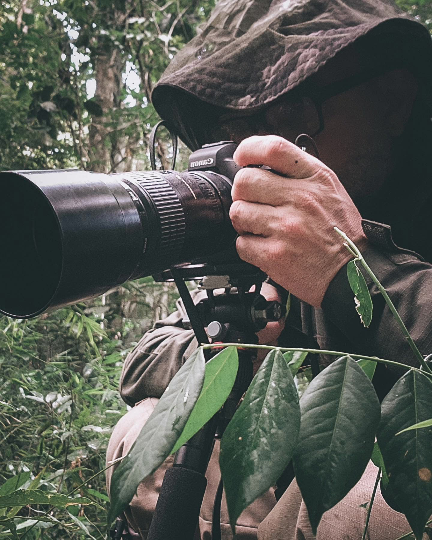 Fotografia do jussier meio a floresta segurando uma câmera e usando um chapéu do tipo pescador