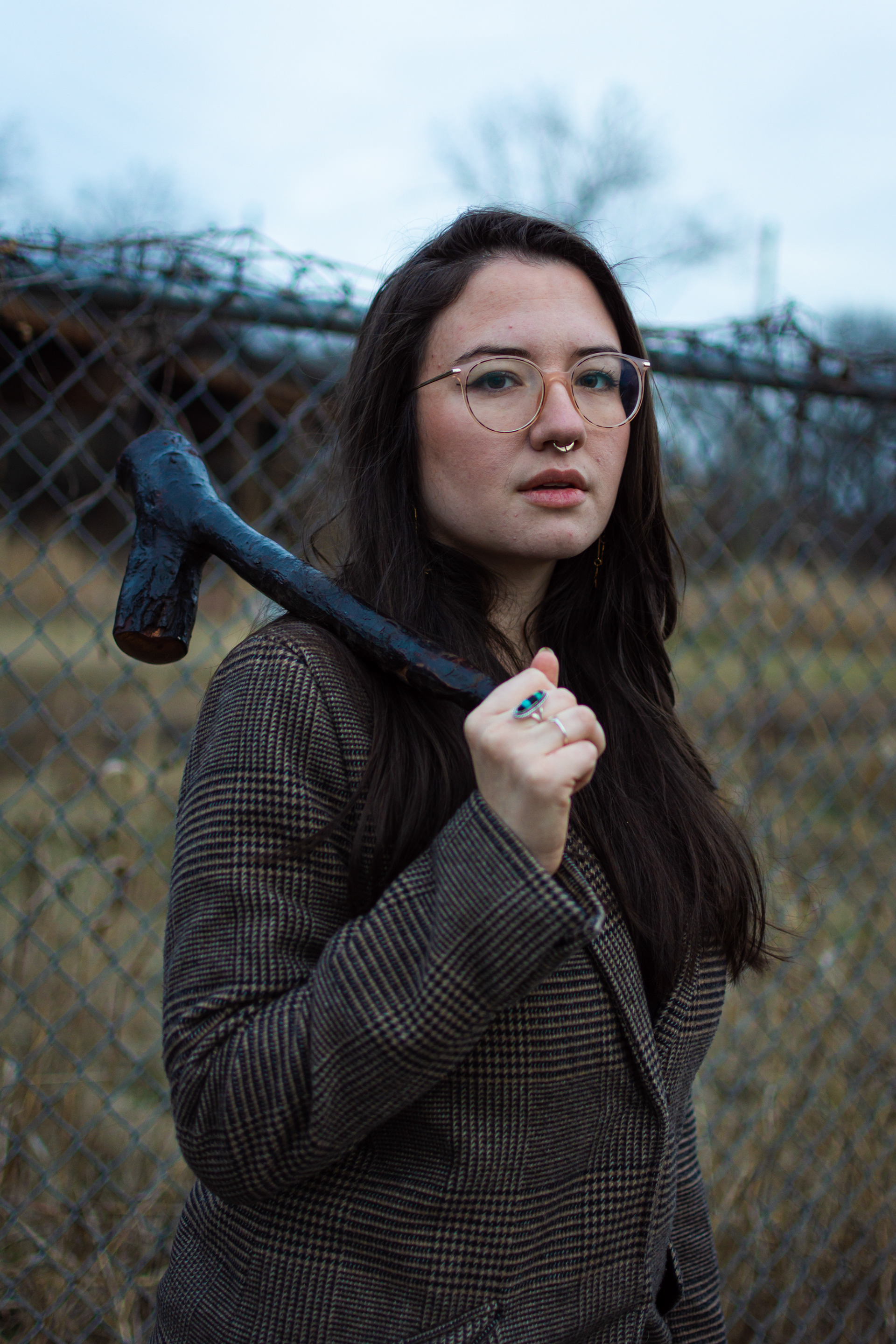 SHANNON, PETRIFIED WOOD