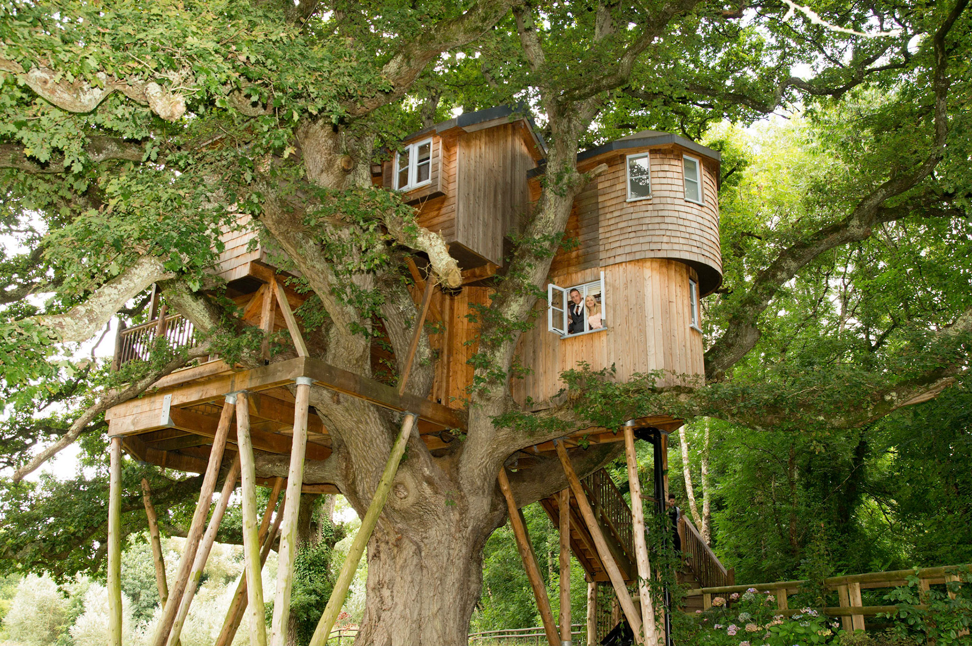 Treehouse Eggesford
