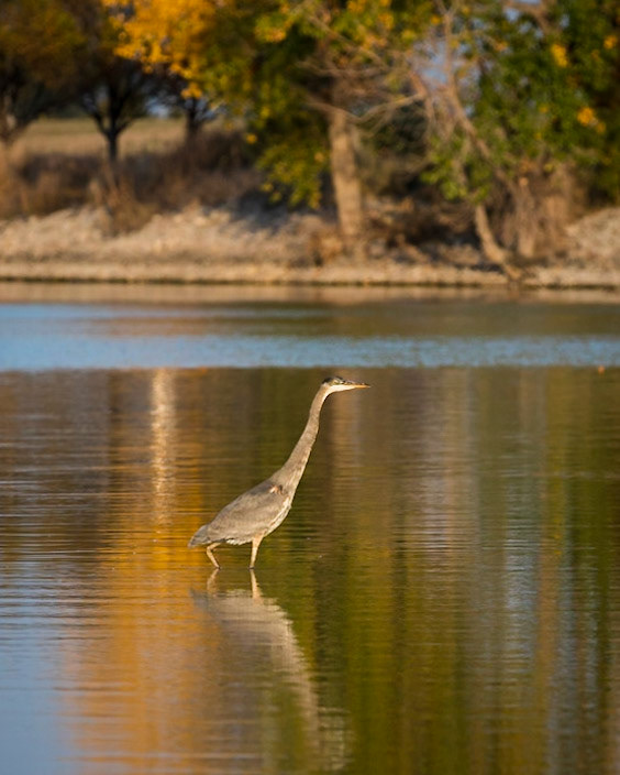Eagle Scout Park