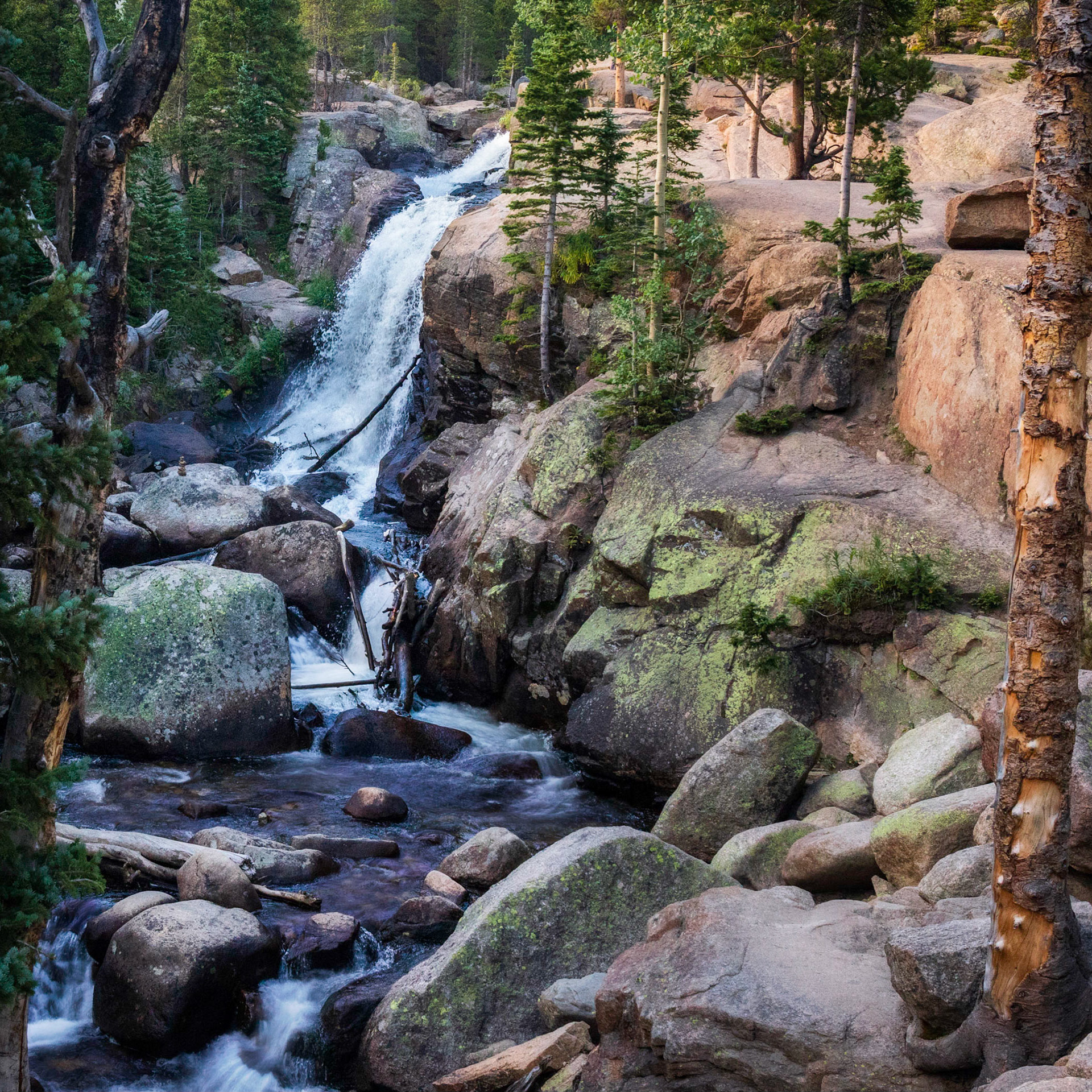 Alberta Falls