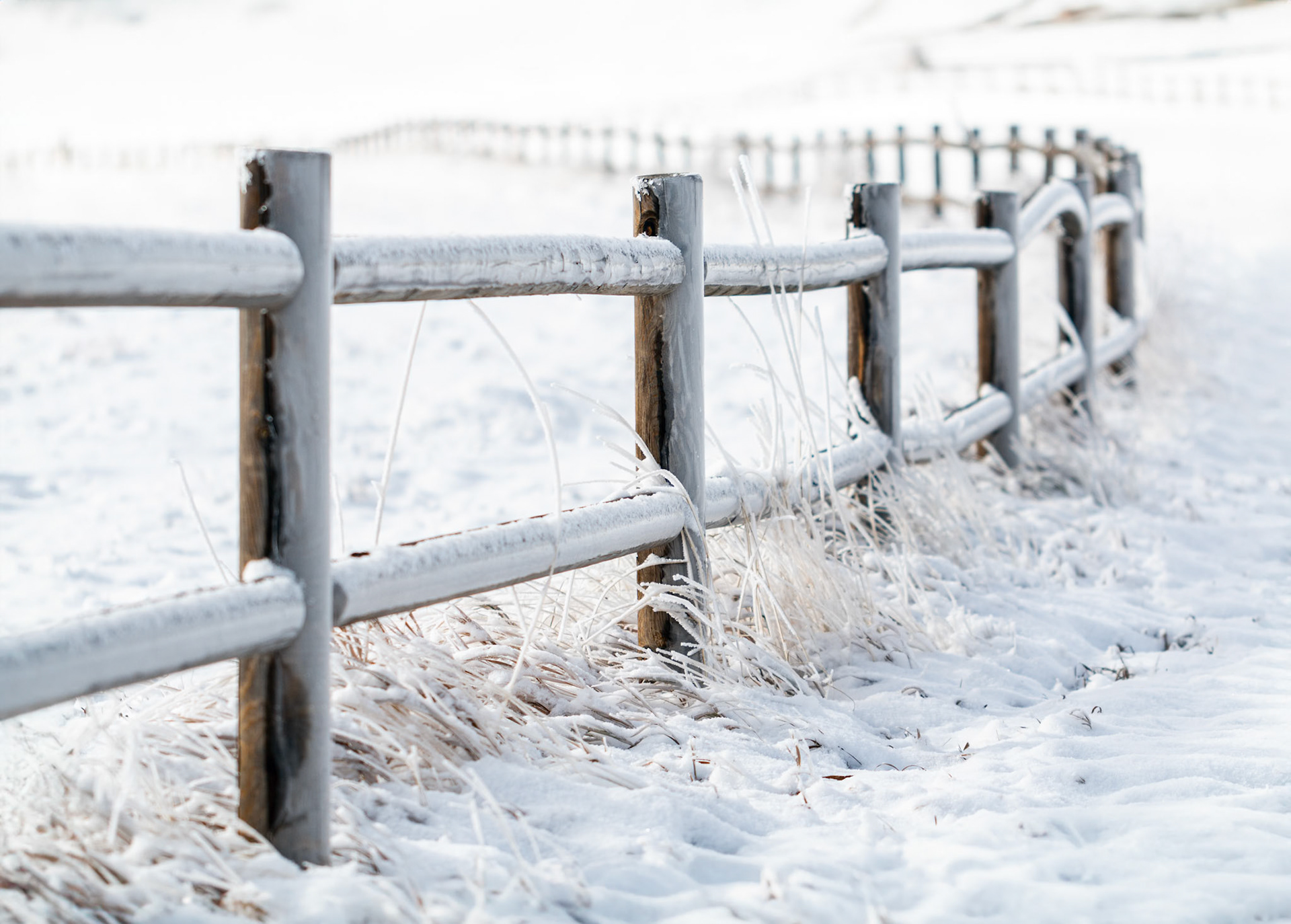 Wyoming Snow Fence