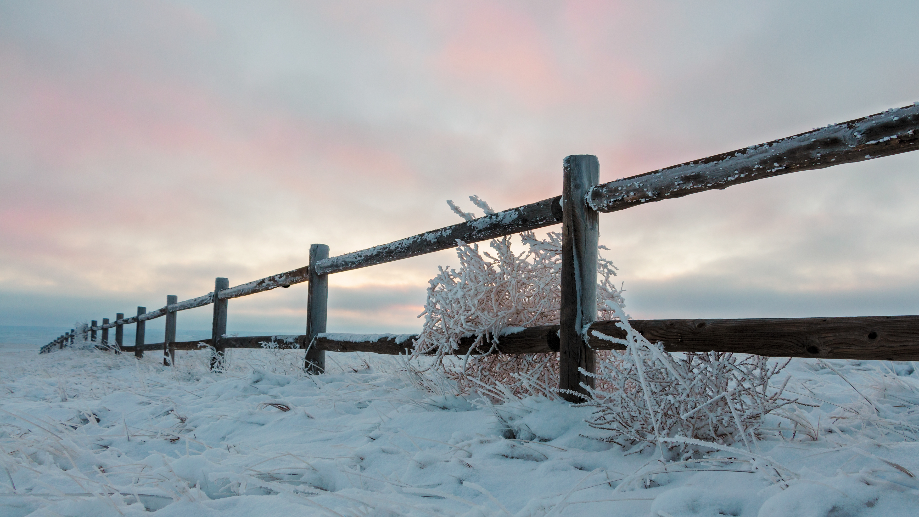 Wyoming Snow Fence