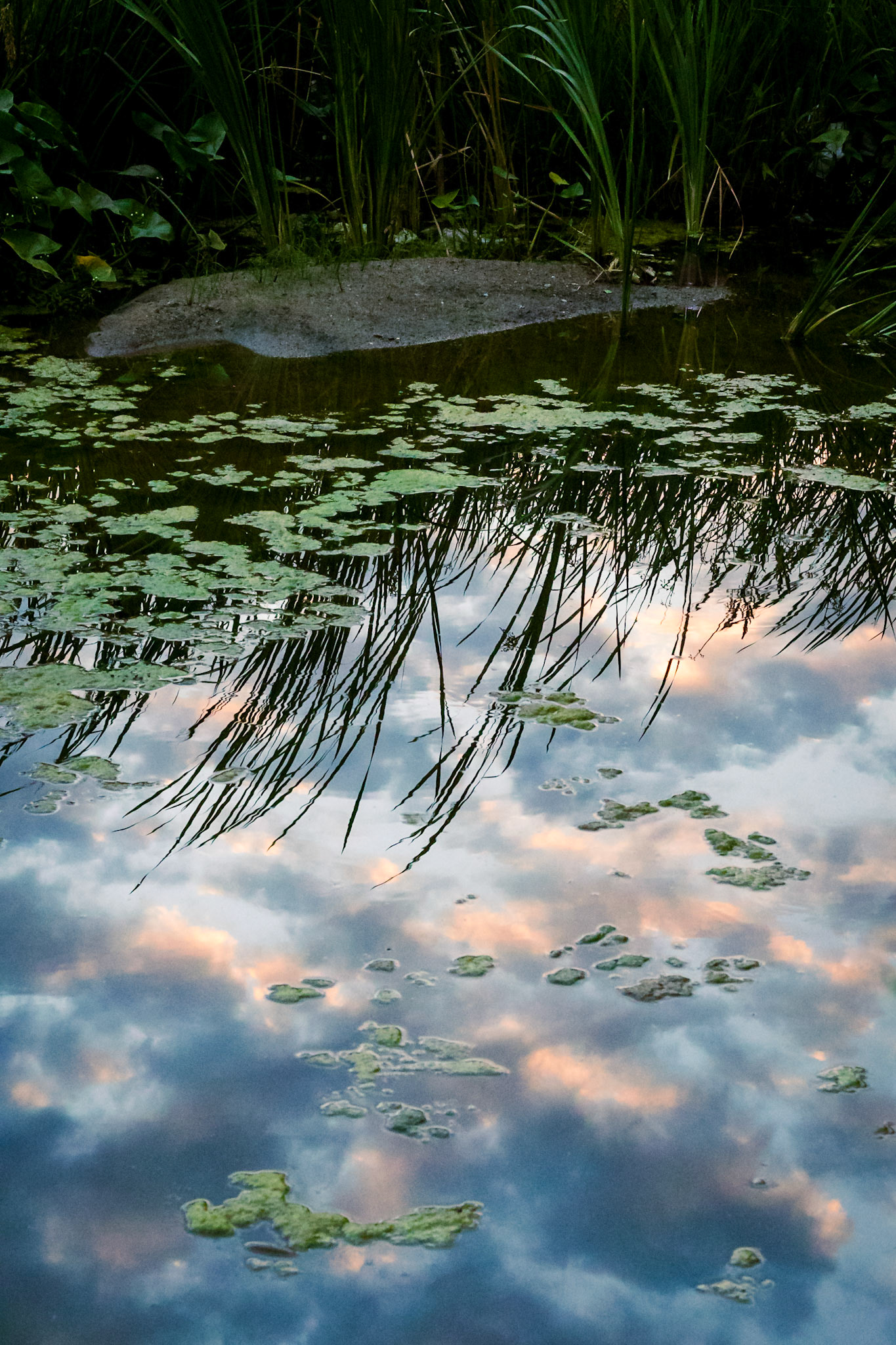 Sunrise reflection