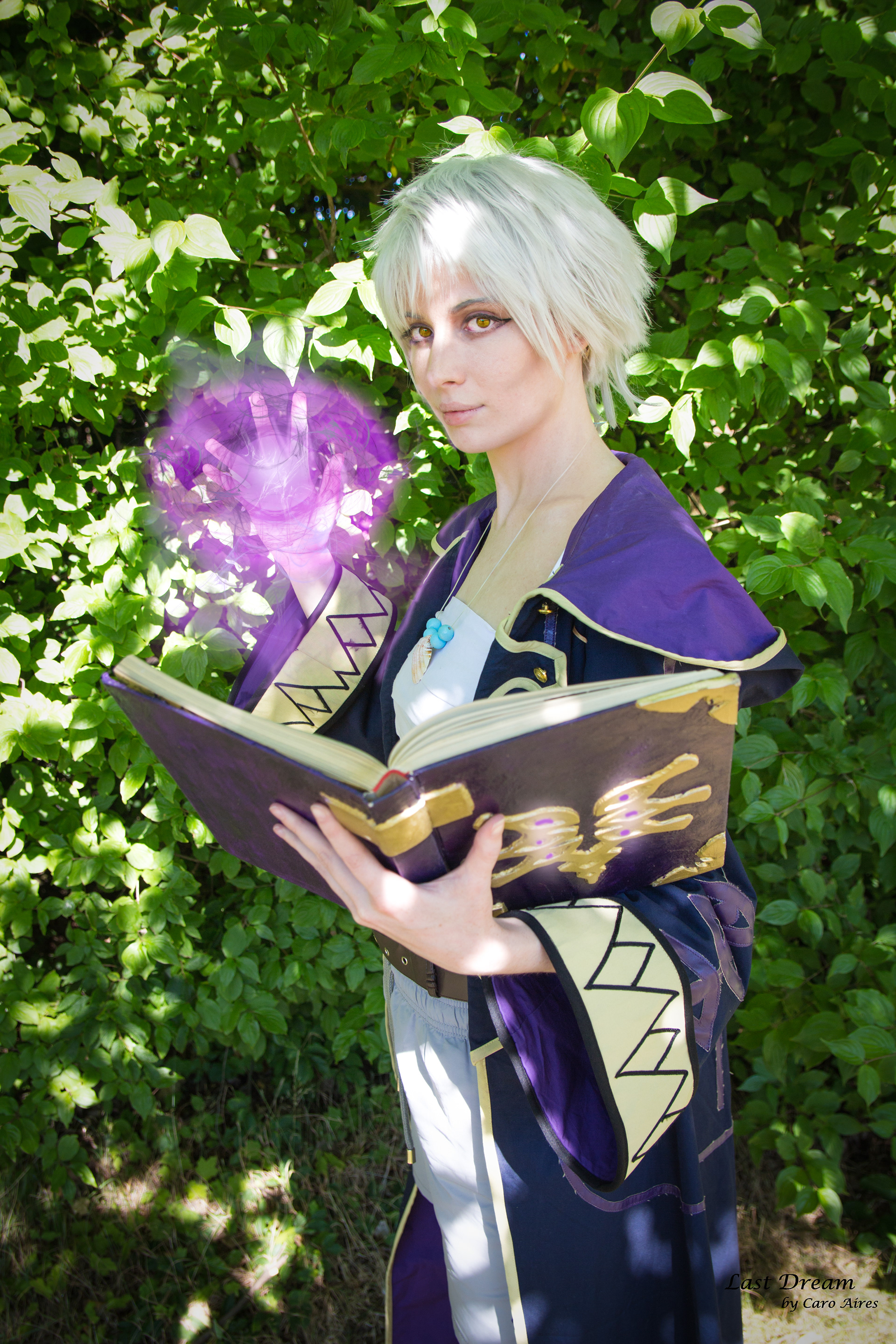 Robin - Fire Emblem (Alge-Sama Cosplay)