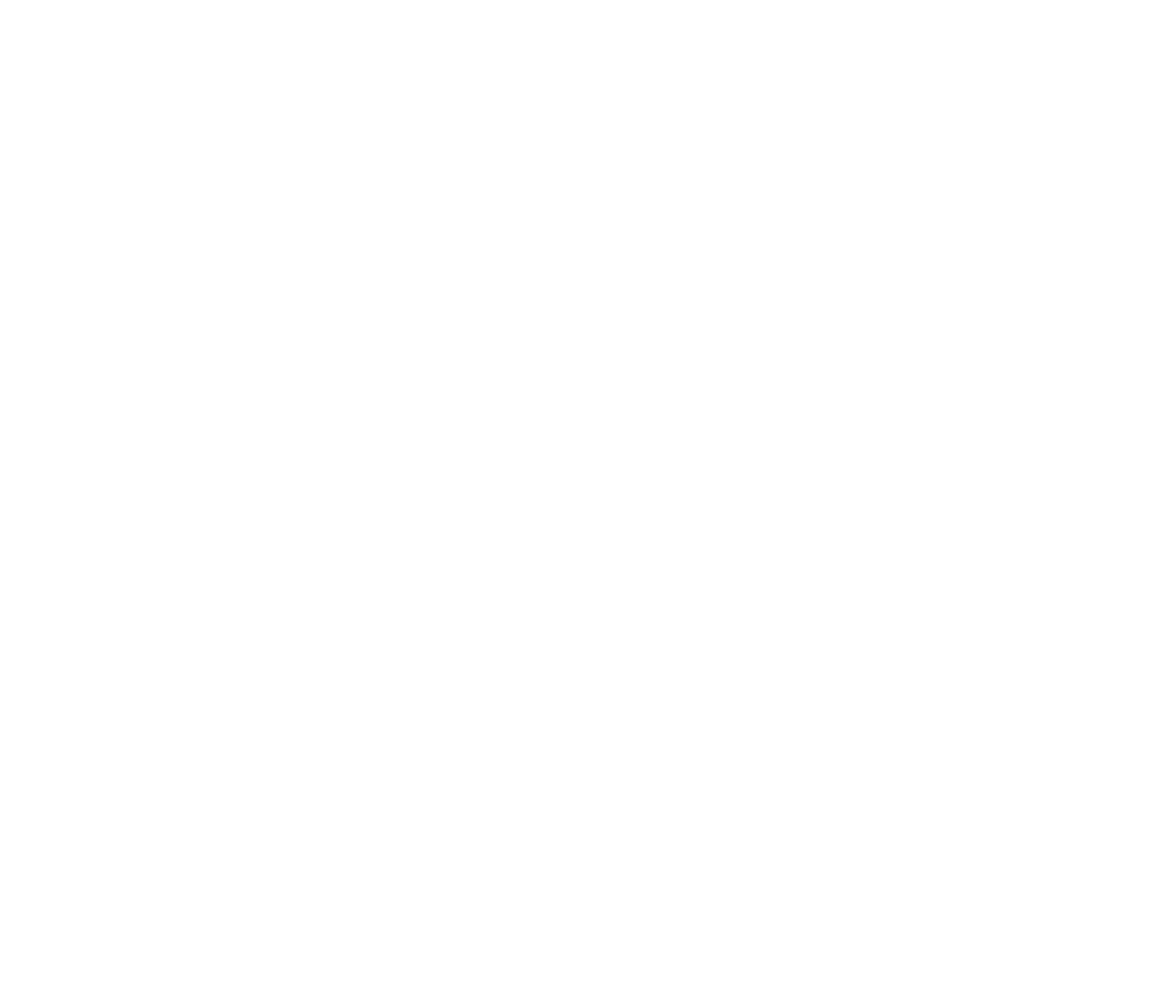 Alpine FPV