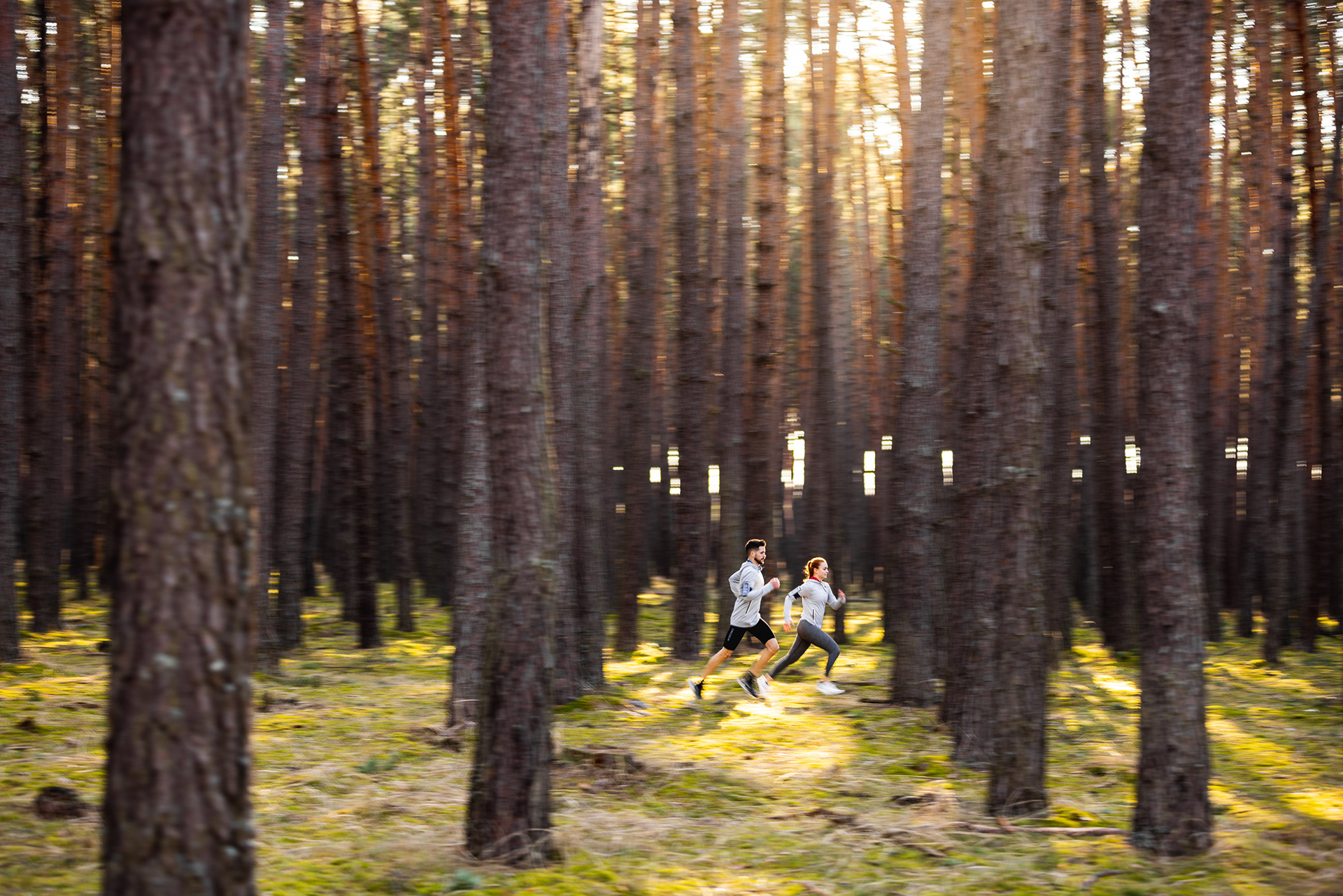 Wings for Life App Run campaign for Red Bull