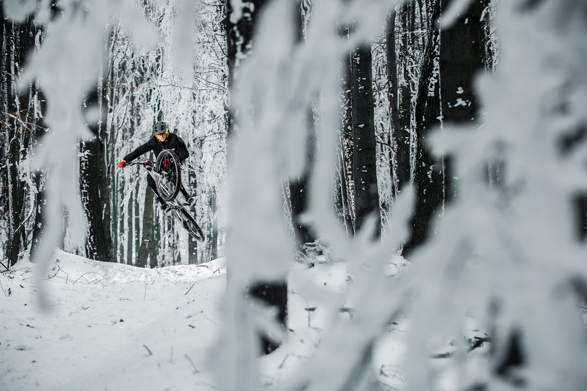 Samo Paučin for CTM