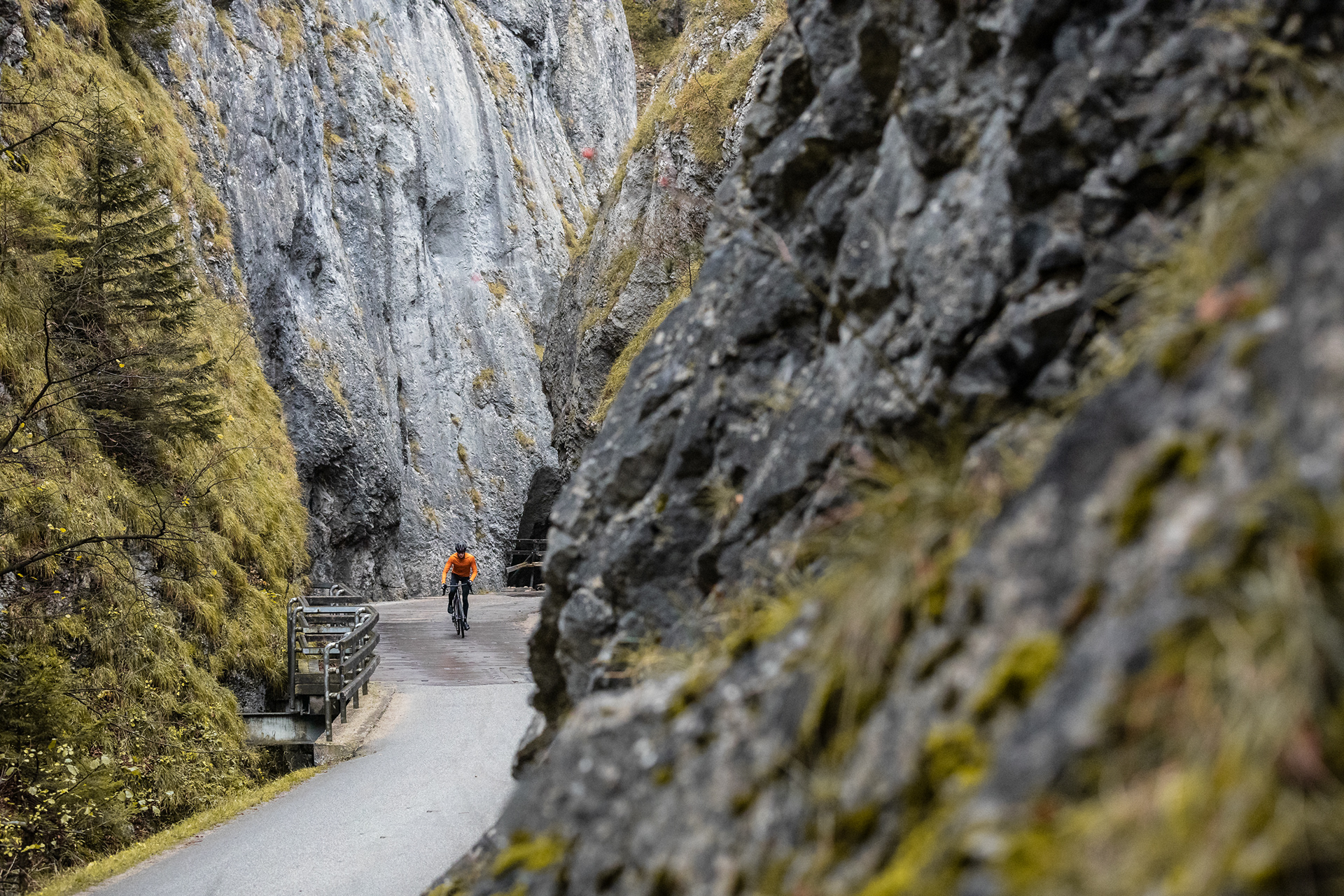 Samo Paučin for CTM