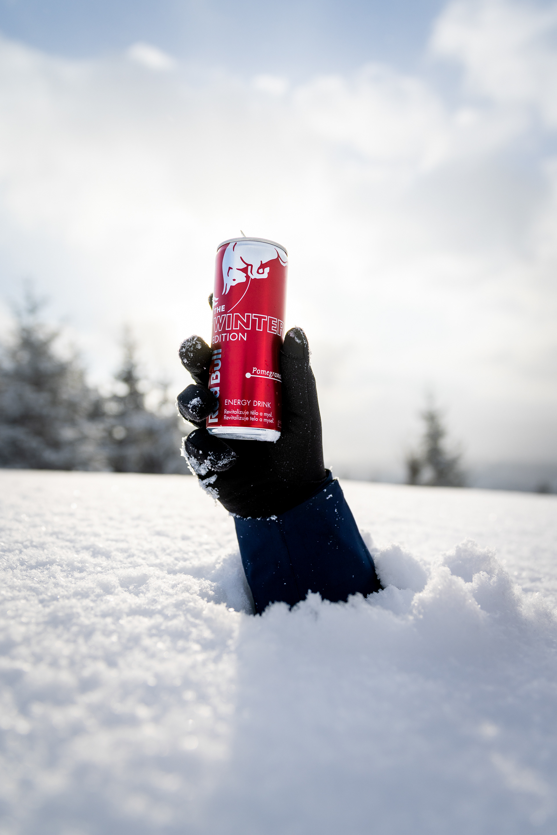 Red Bull Winter Edition for Red Bull