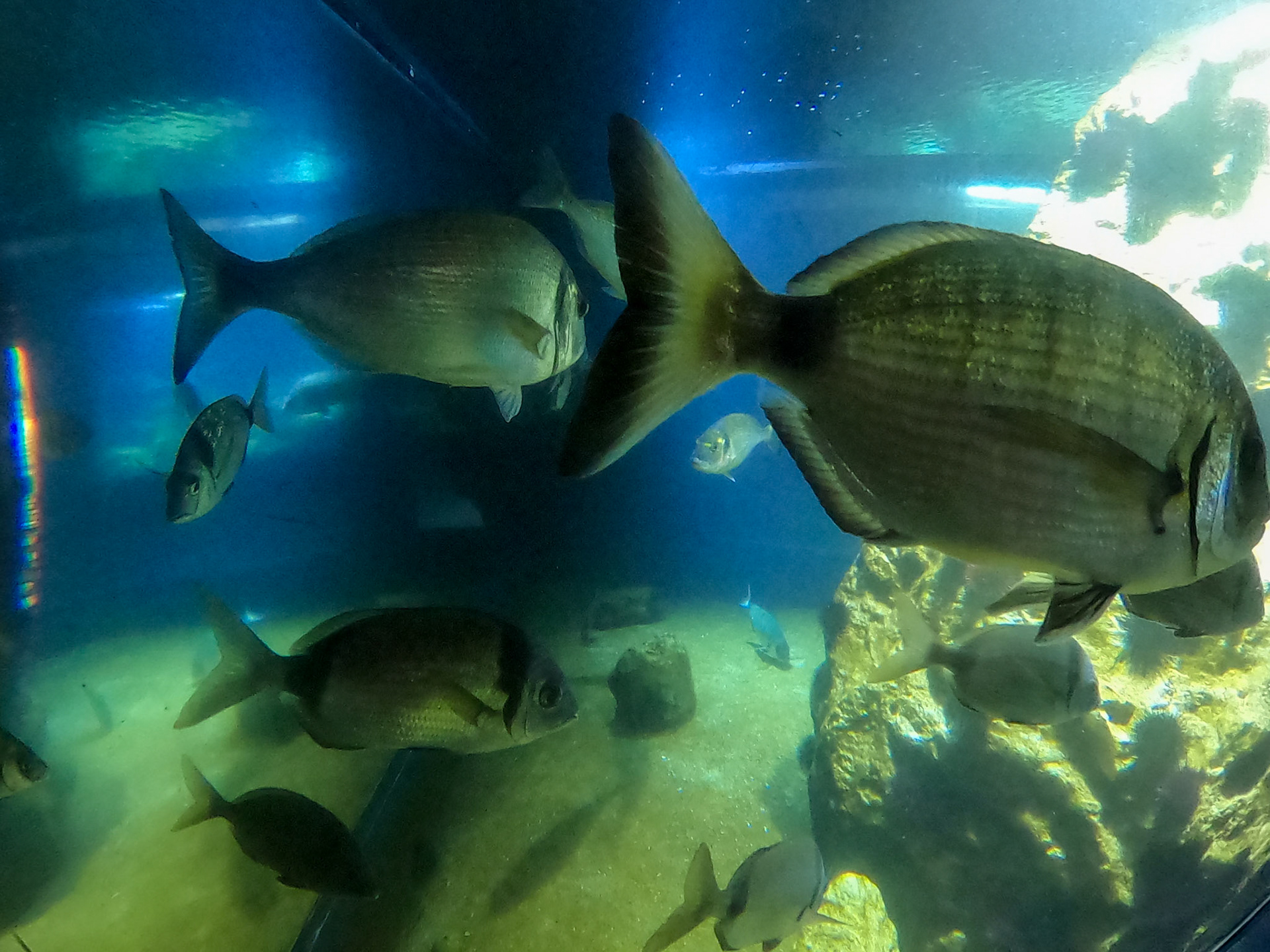 DCIM\100GOPRO\GP__0738.JPG