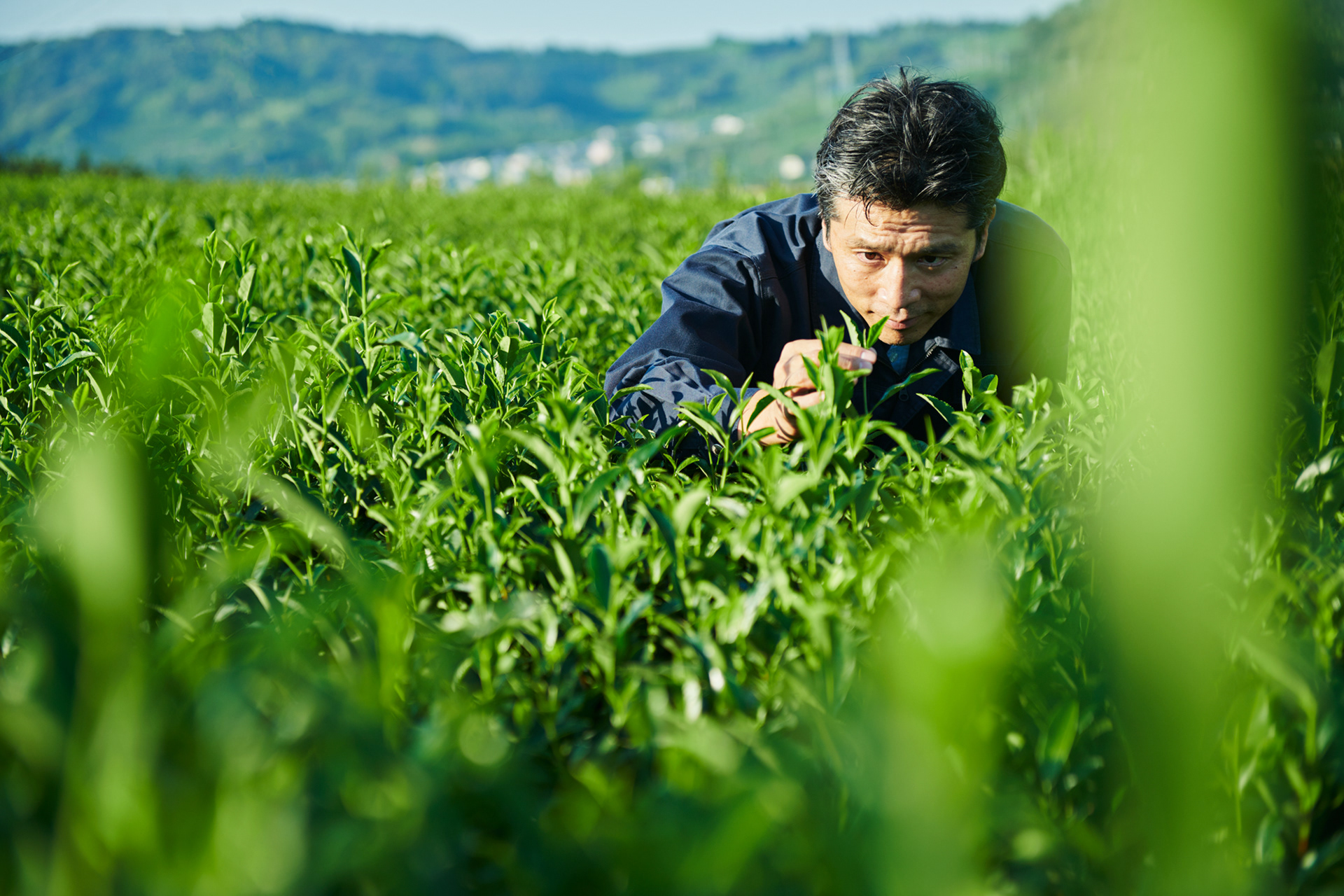 川村翠香園　WEBサイト撮影